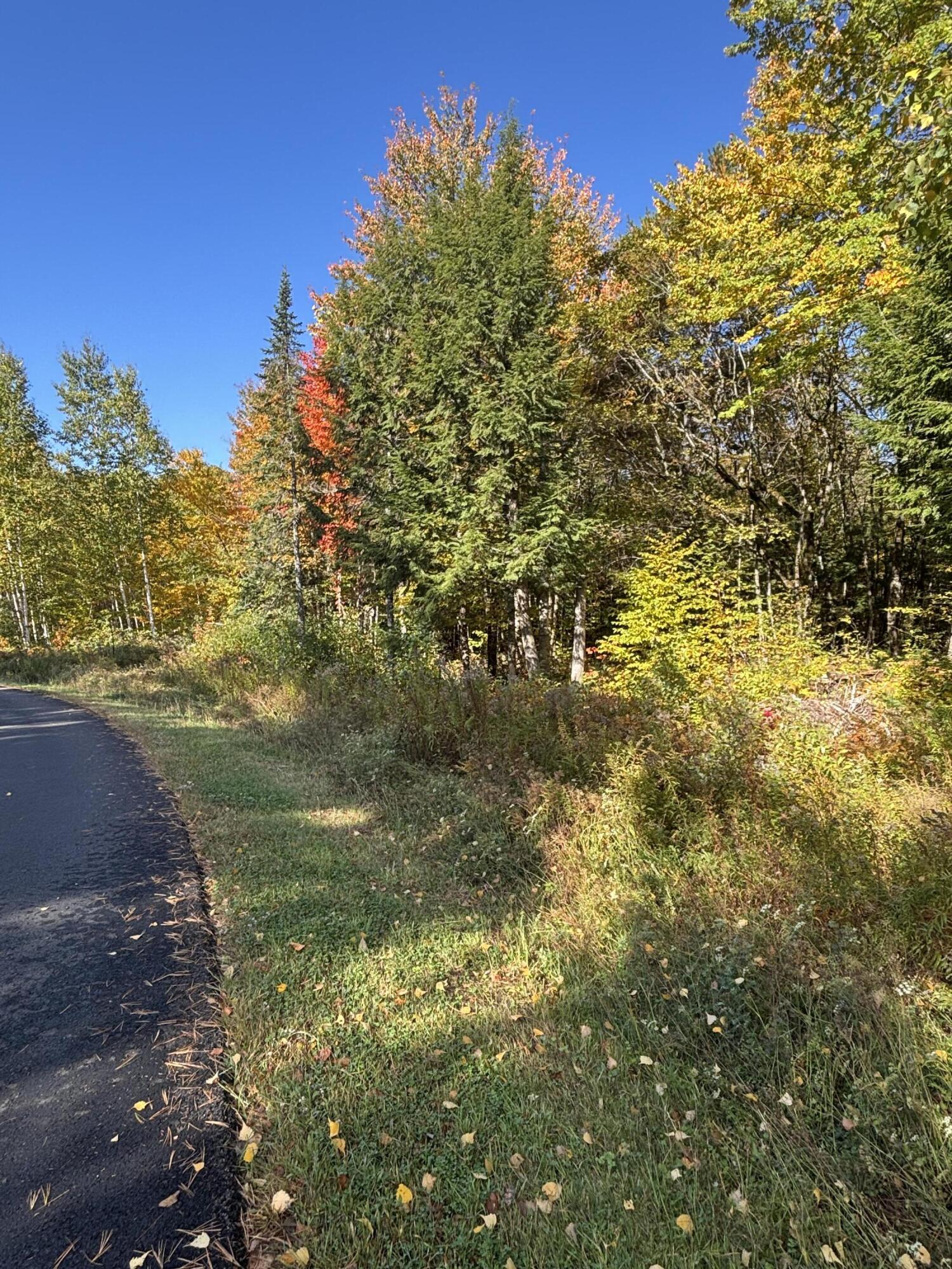 Lot #13 Pine Grove Lane Property Photo 5