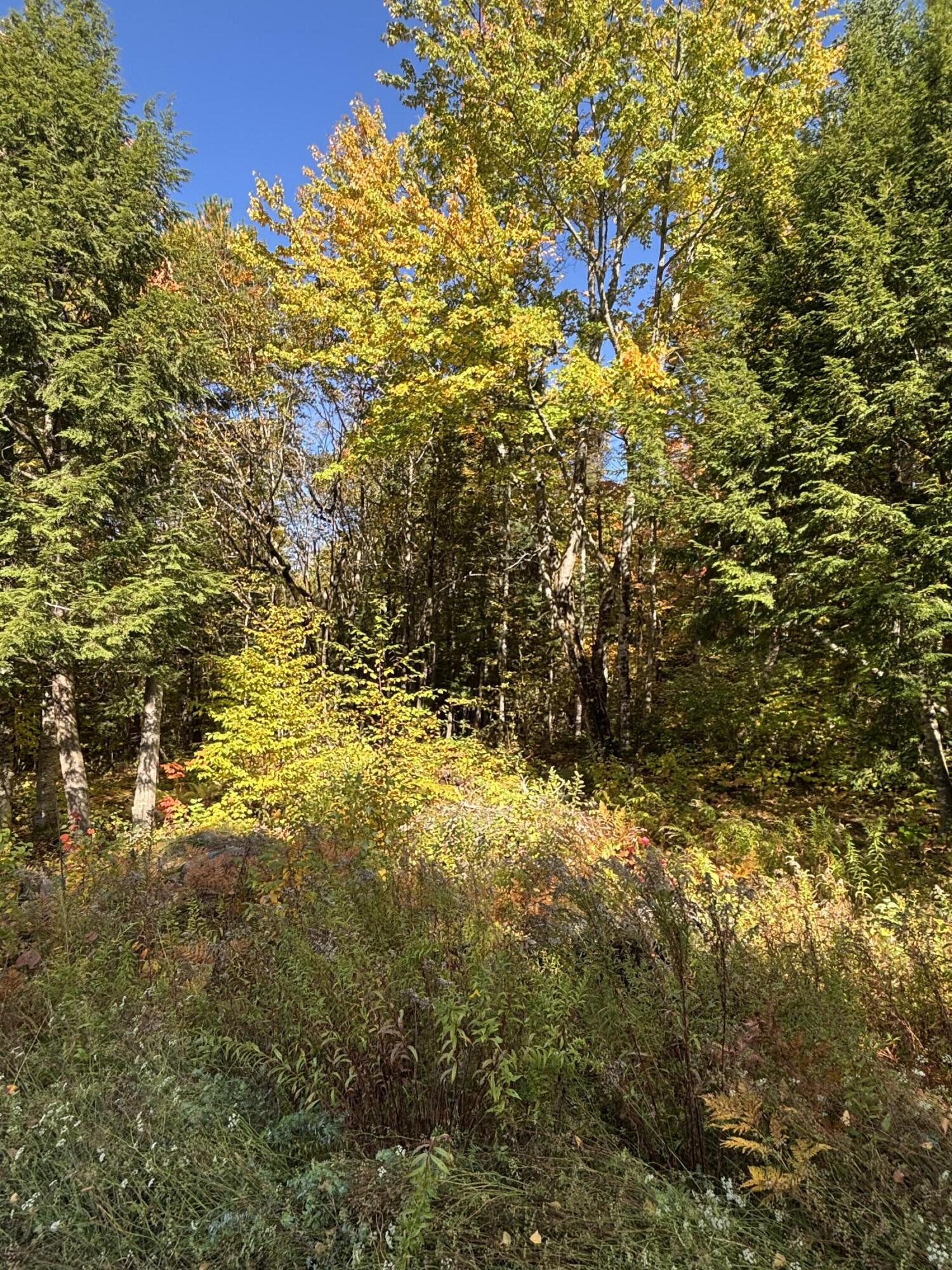 Lot #13 Pine Grove Lane Property Photo 6