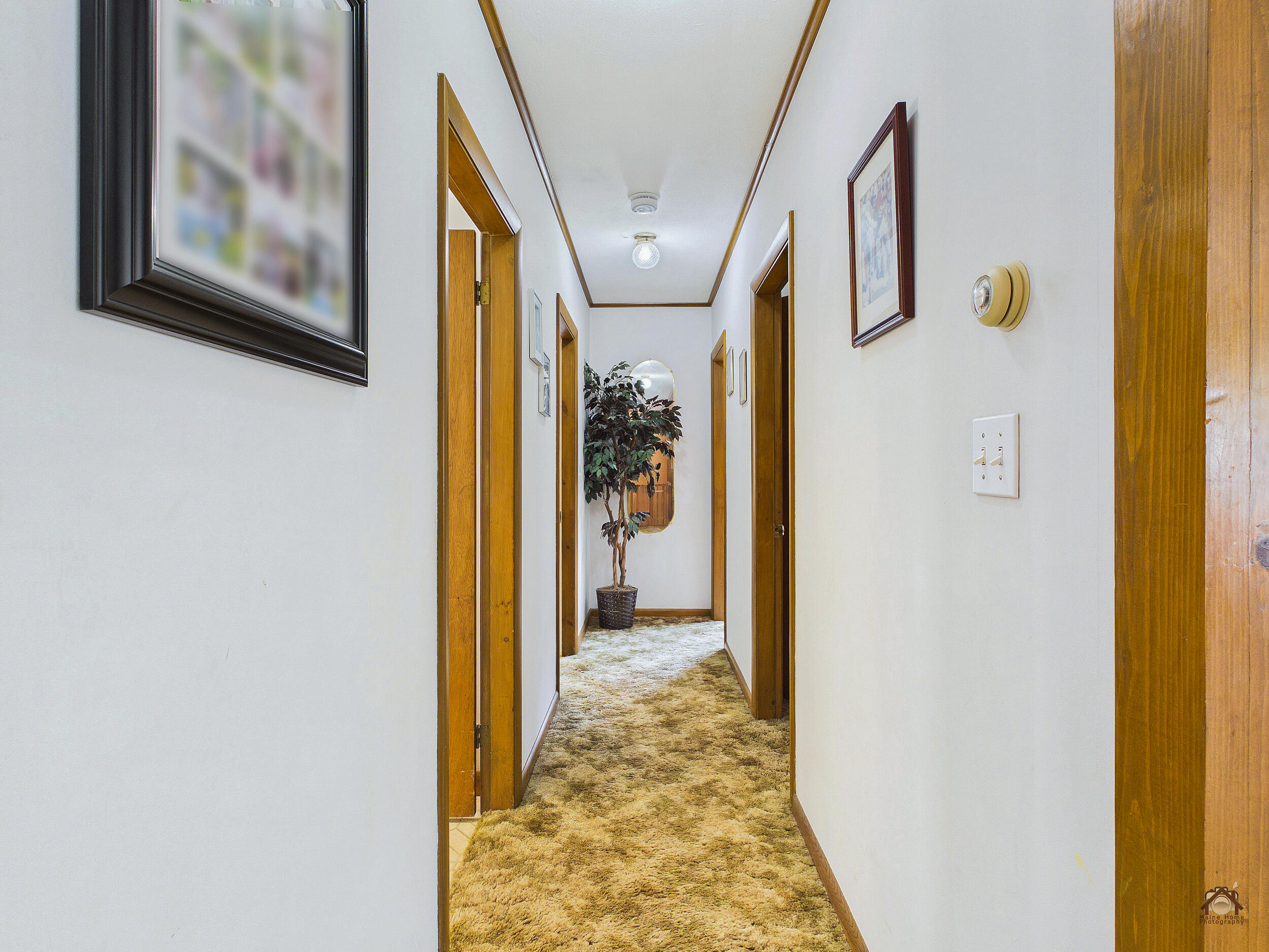 117 Park Street Property Photo 23
