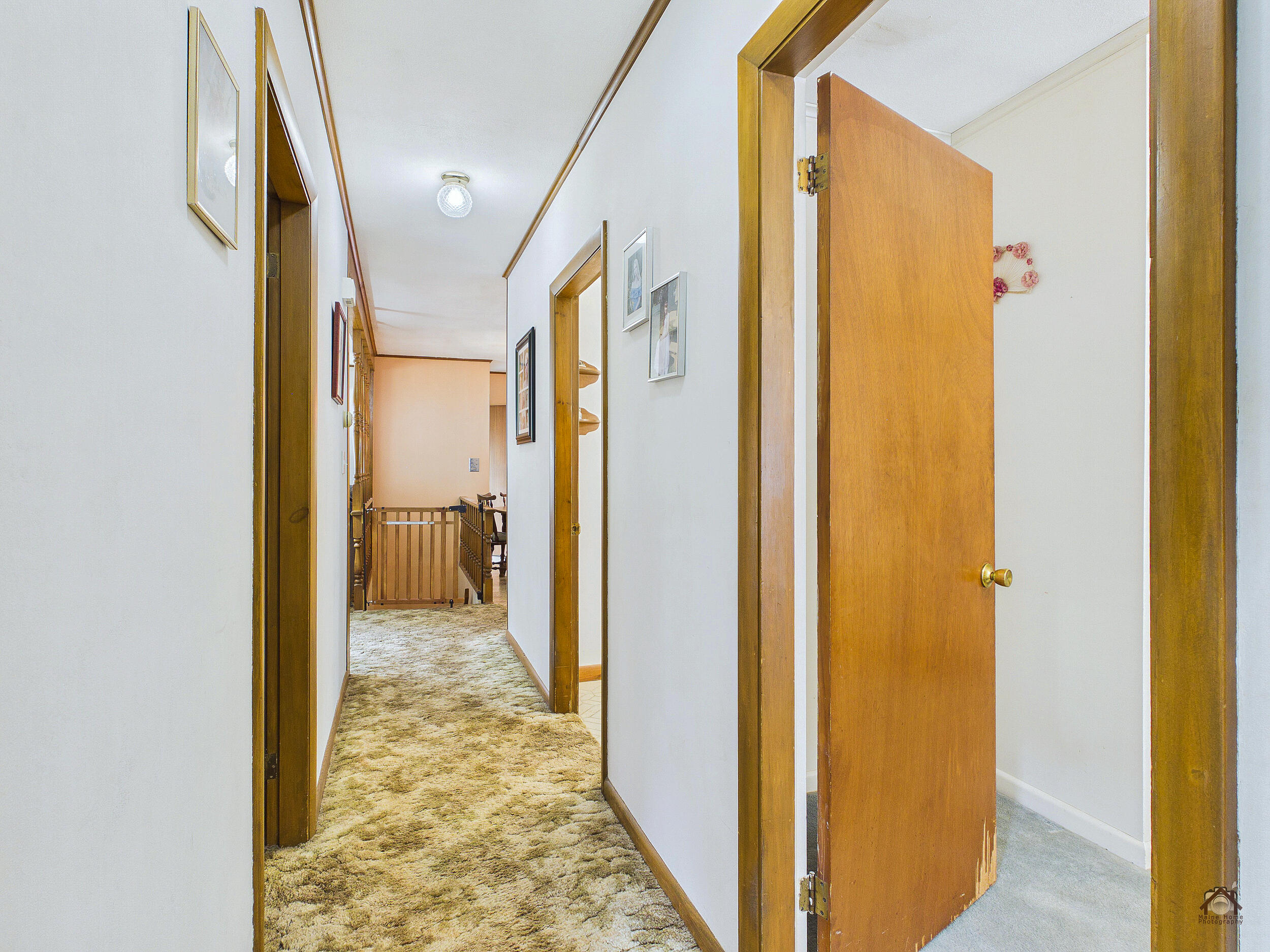 117 Park Street Property Photo 29