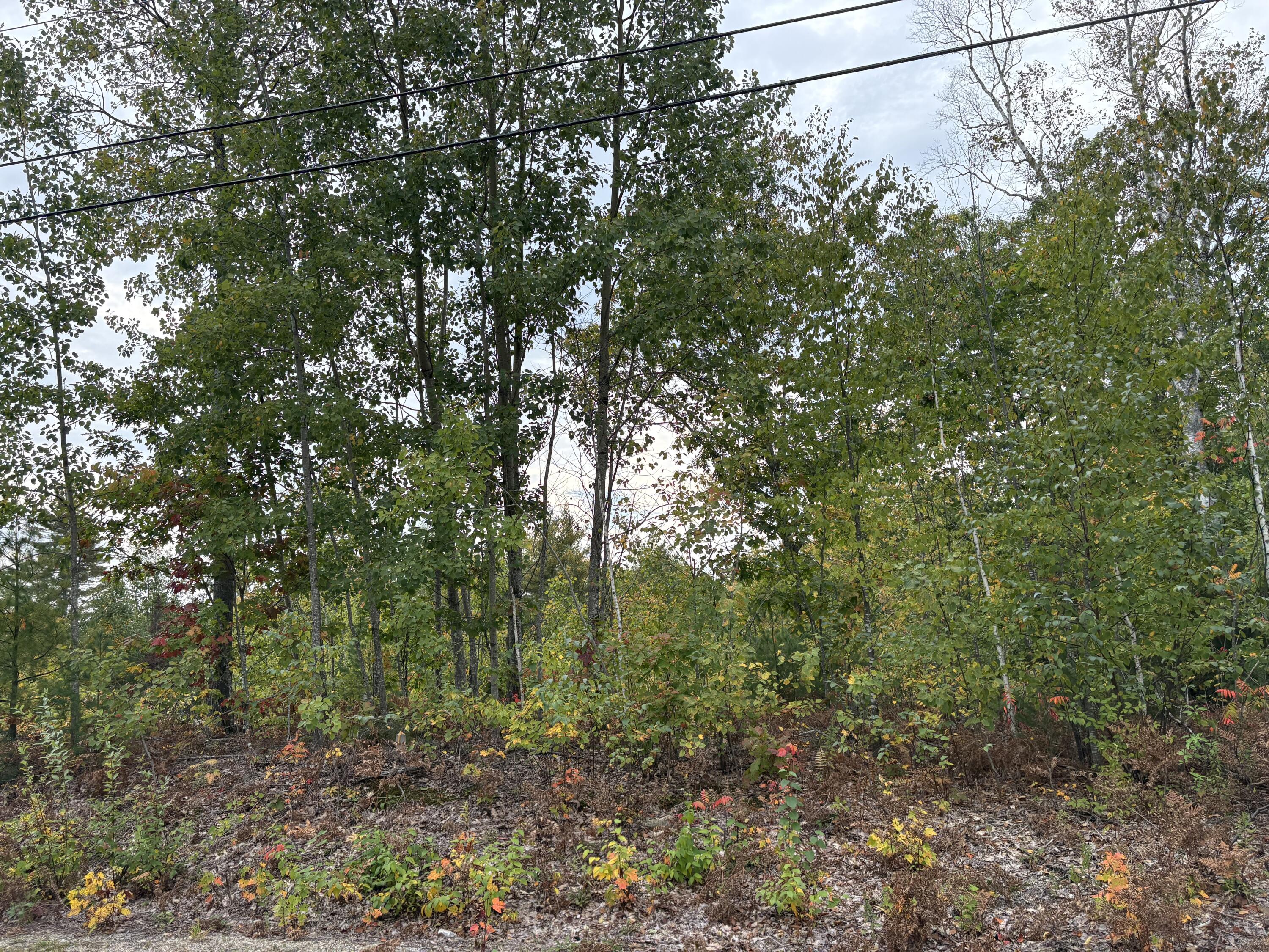 0 Cherry Blossom Lane Property Photo 1