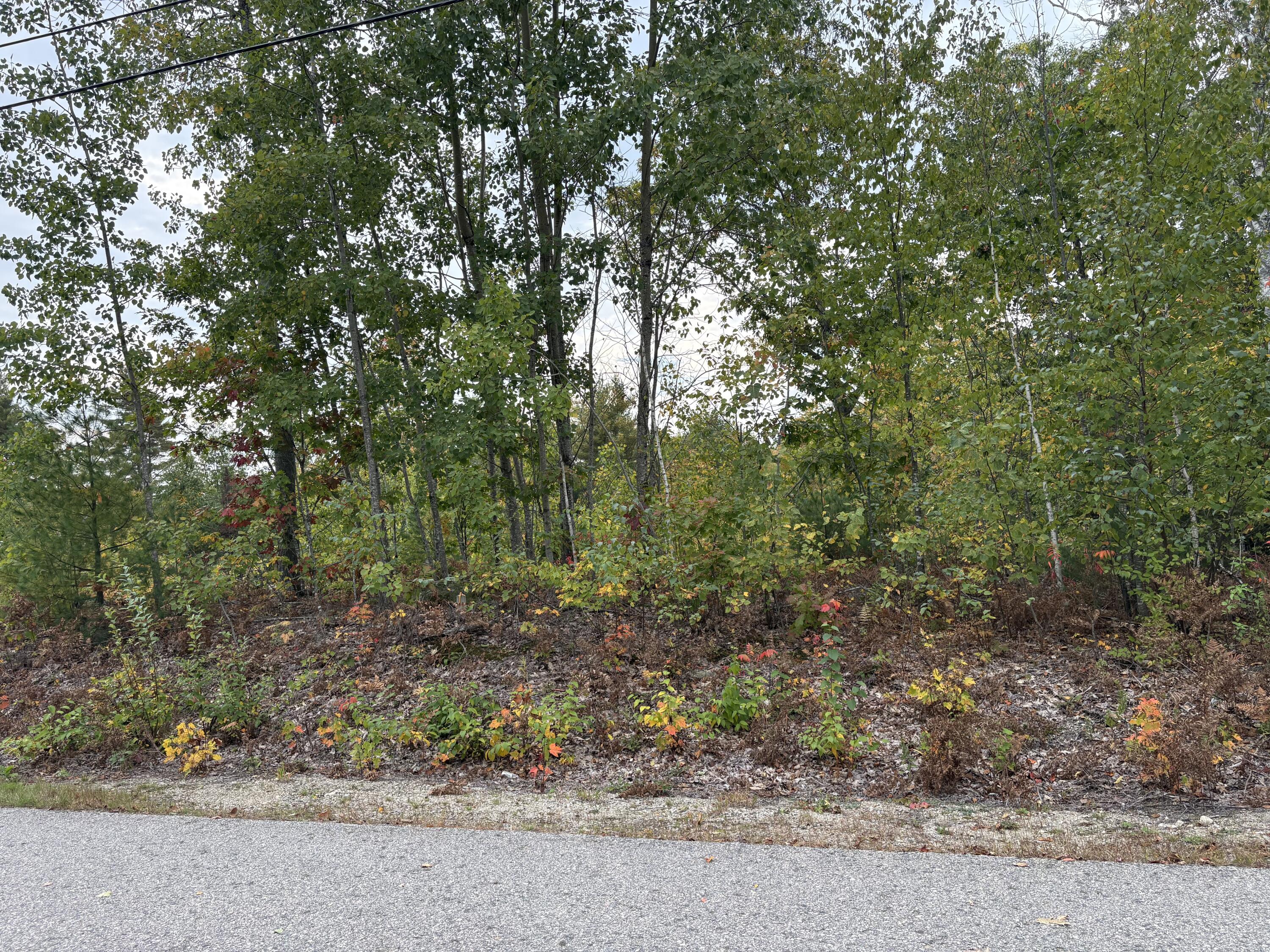 0 Cherry Blossom Lane Property Photo 2