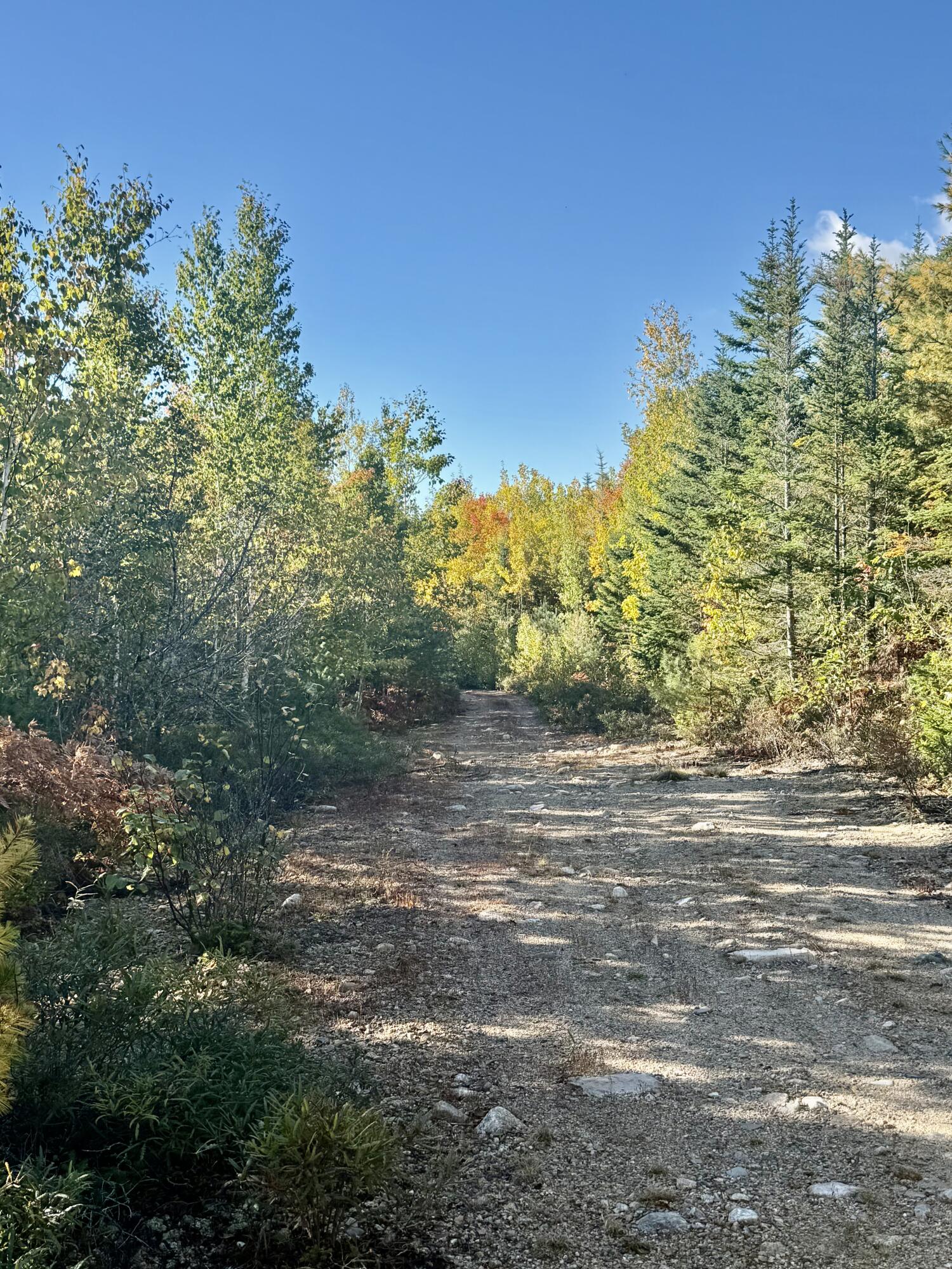 Lot 4 Number 7 Road Property Photo 2