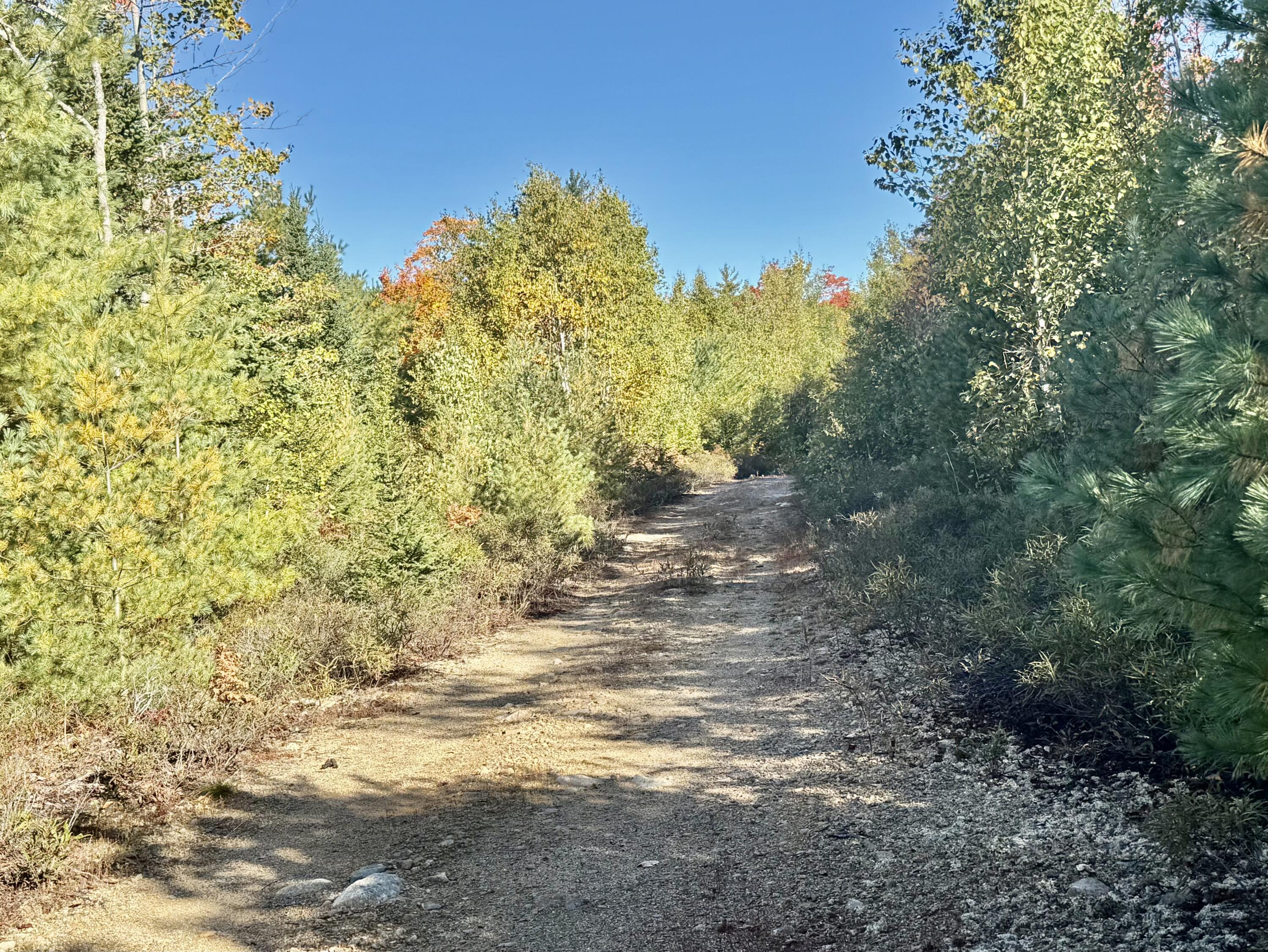 Lot 4 Number 7 Road Property Photo 3