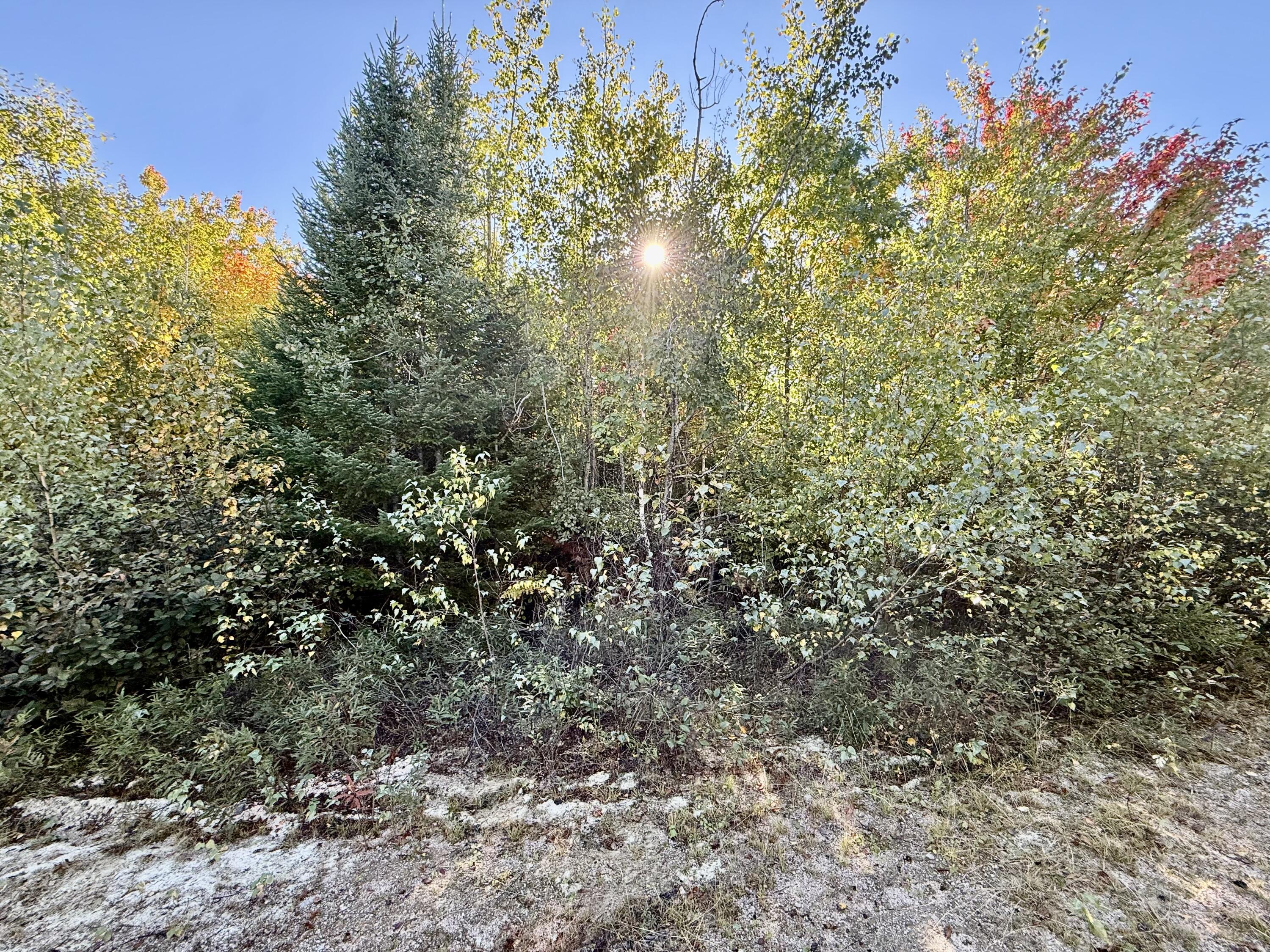 Lot 4 Number 7 Road Property Photo 5