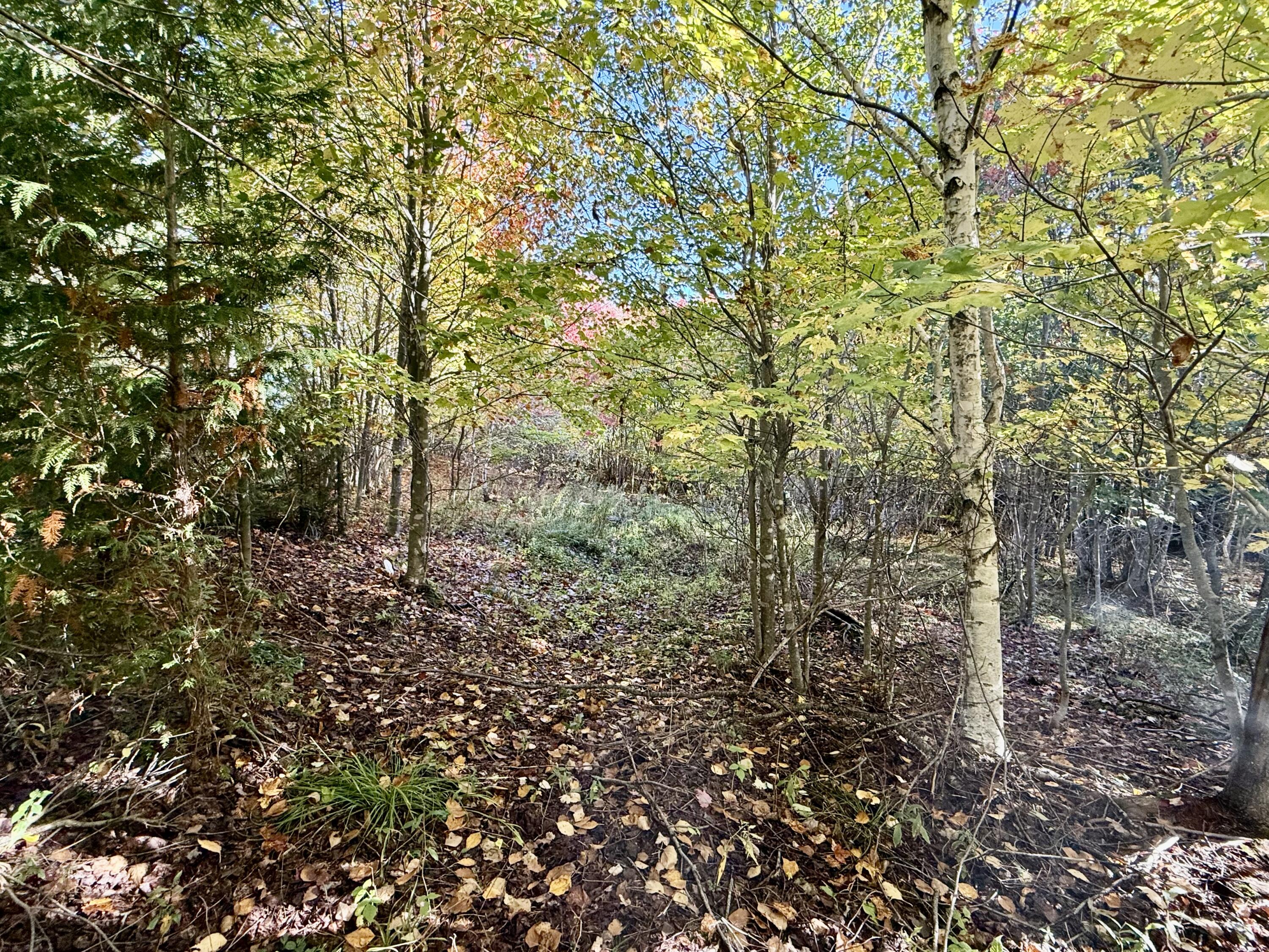 Lot 4 Number 7 Road Property Photo 7