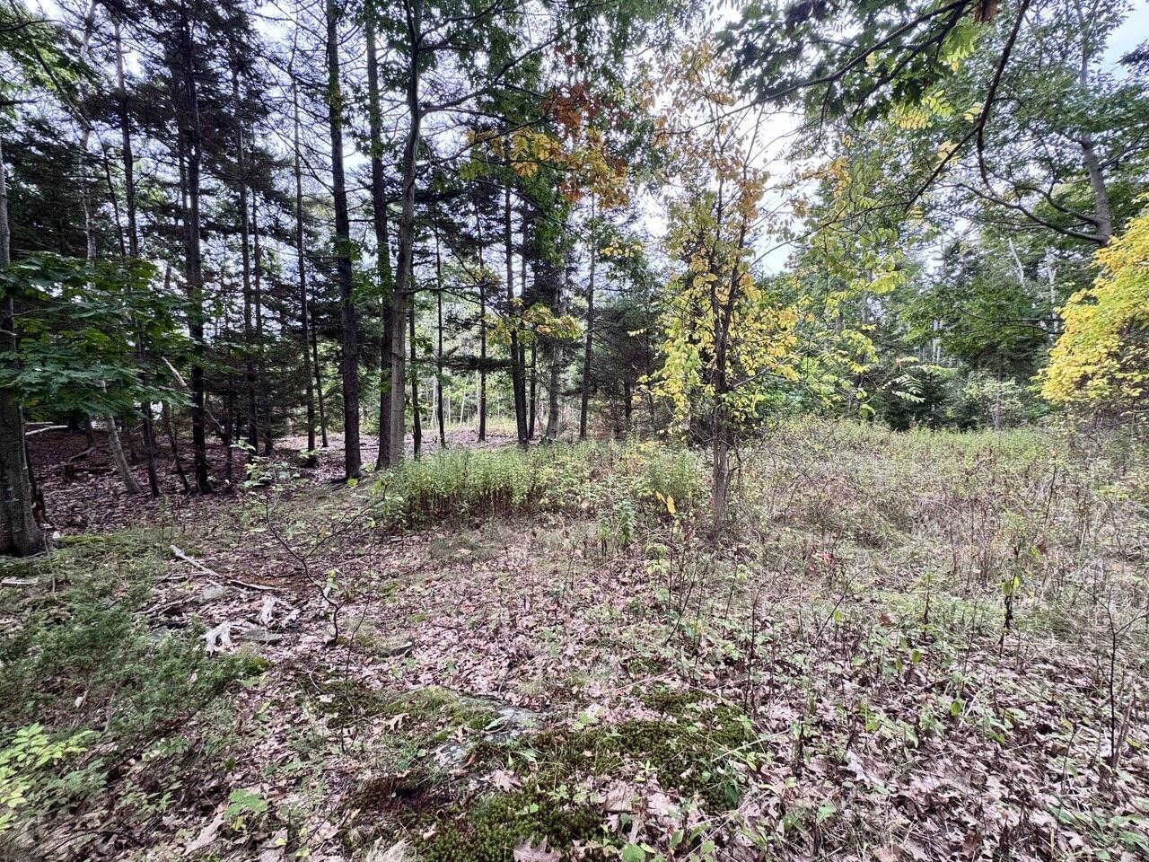 151 Brackett Avenue Property Photo 2