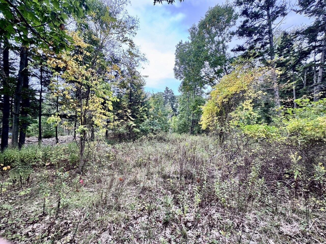 151 Brackett Avenue Property Photo 3