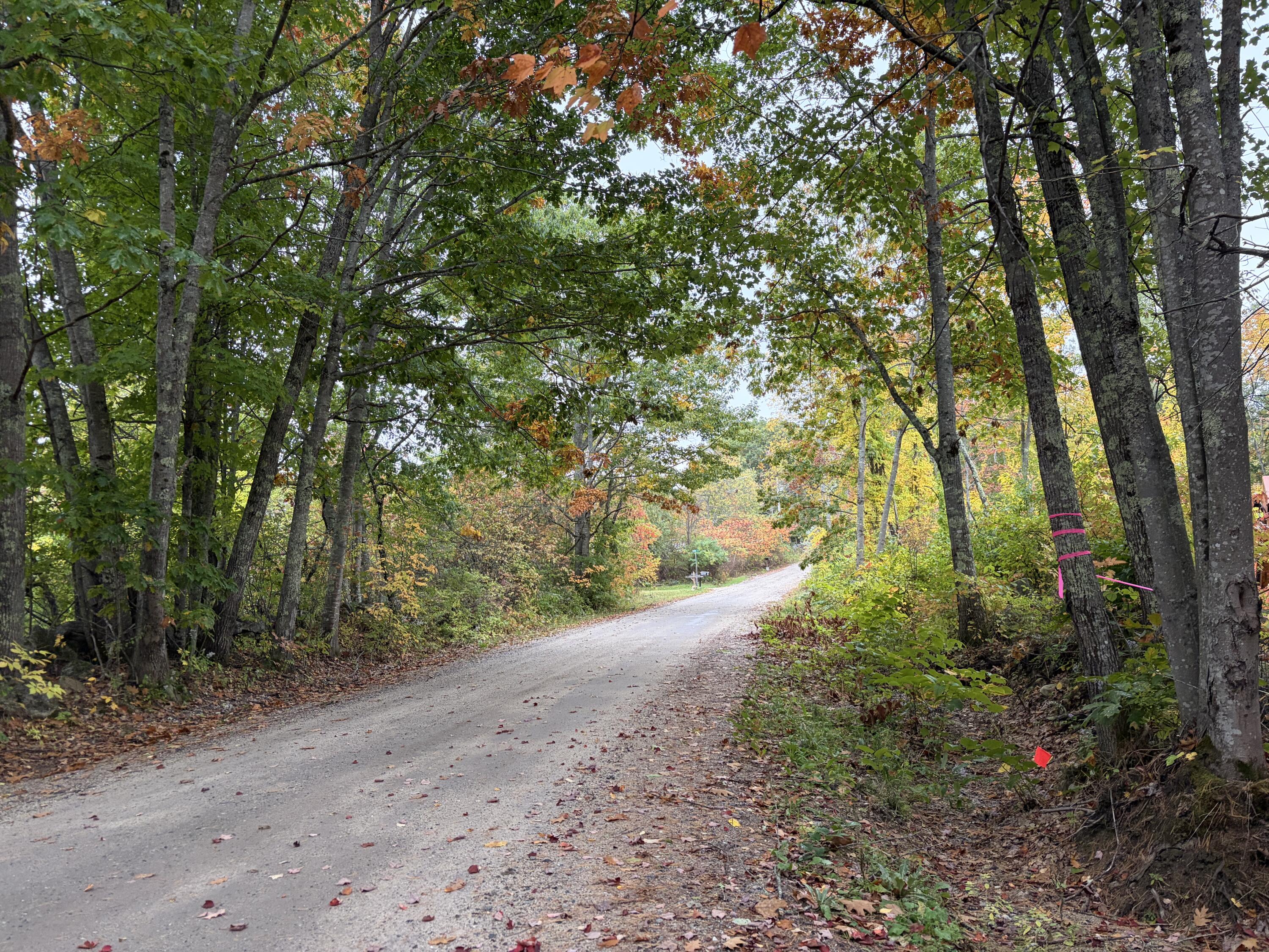 Lot 13-b2 S Town Farm Road Property Photo 1