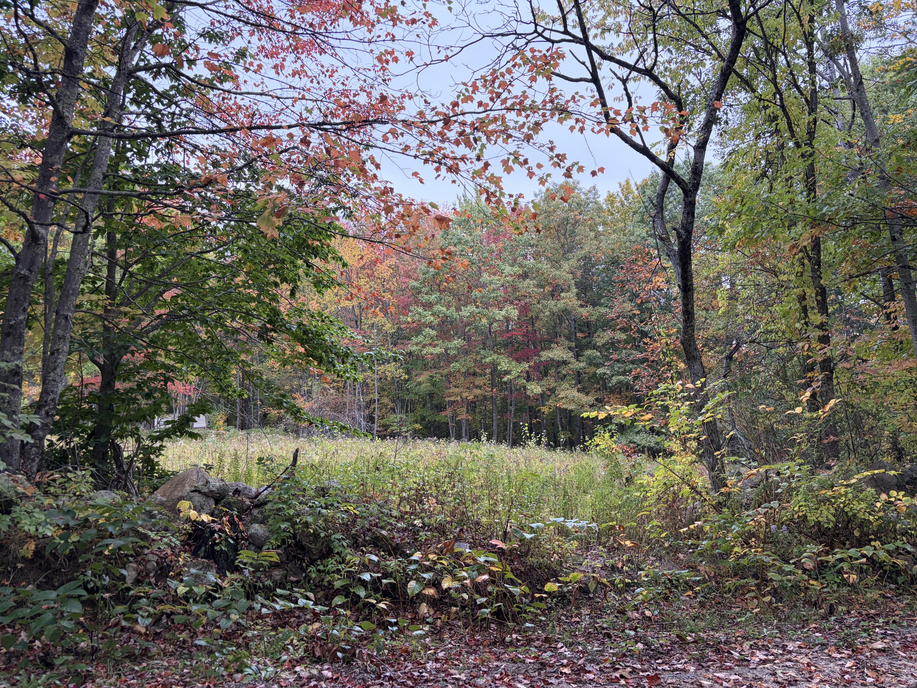 Lot 13-b2 S Town Farm Road Property Photo 2