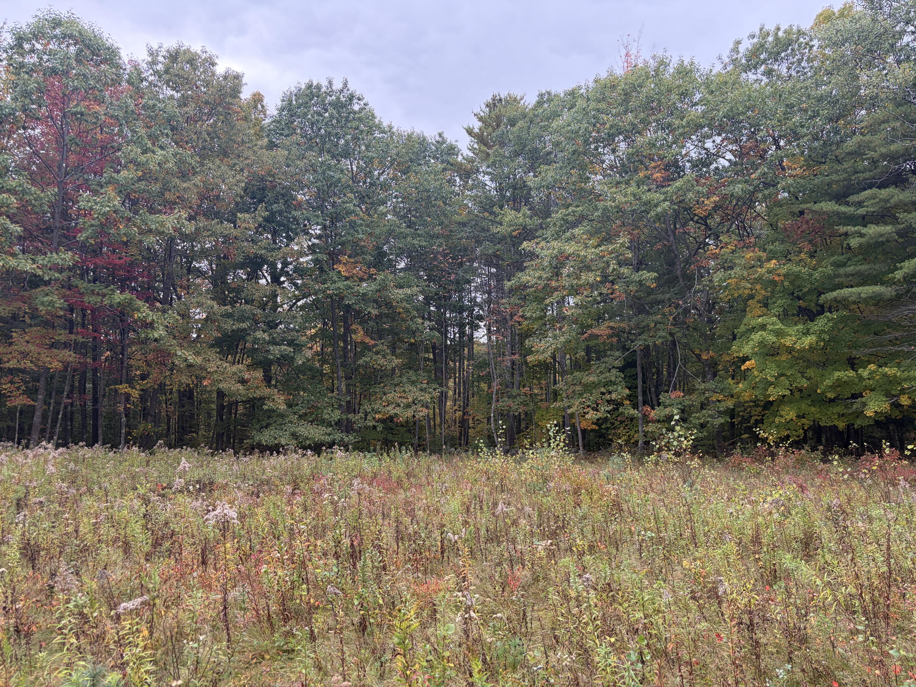 Lot 13-b2 S Town Farm Road Property Photo 3