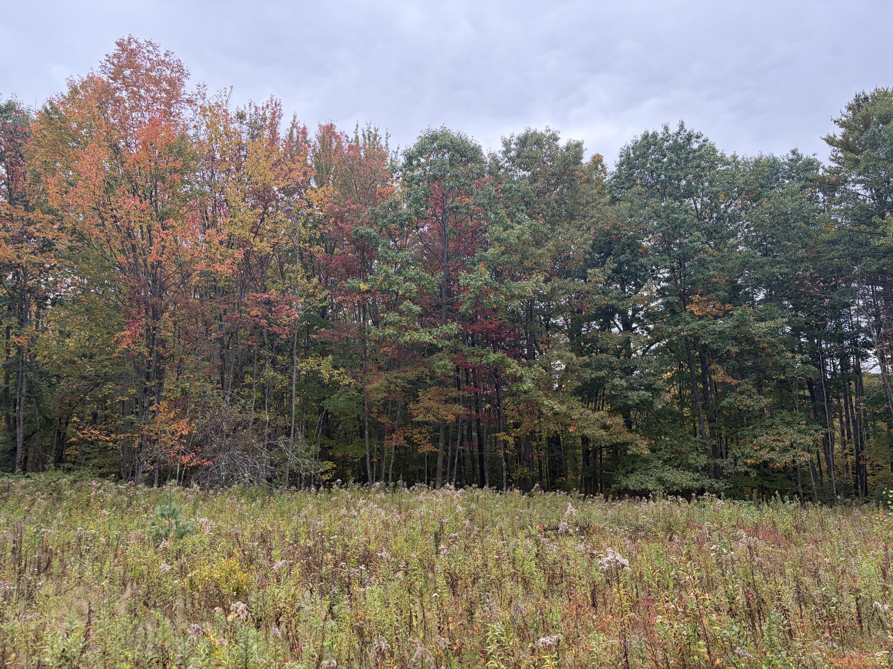 Lot 13-b2 S Town Farm Road Property Photo 4