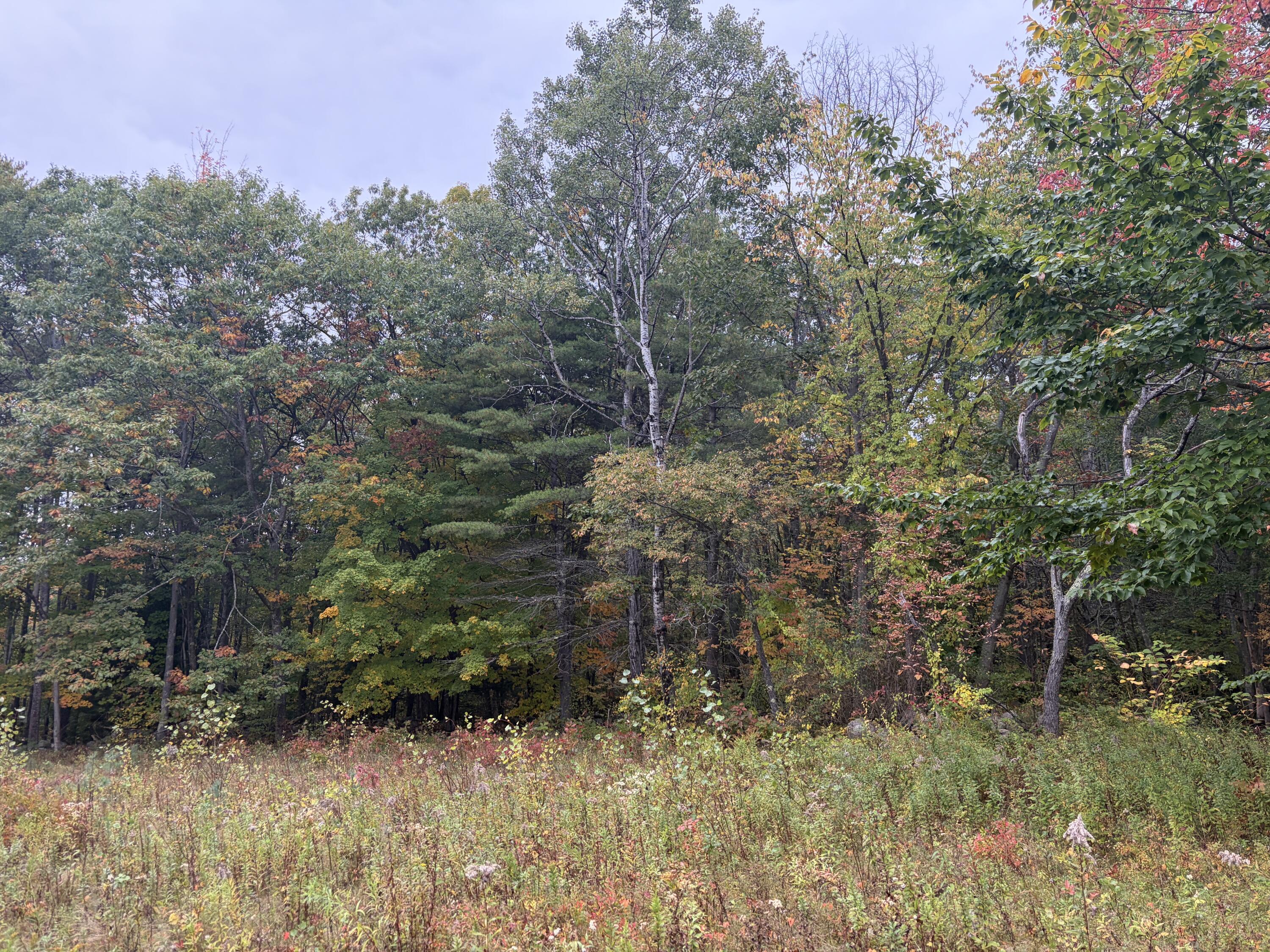 Lot 13-b2 S Town Farm Road Property Photo 5
