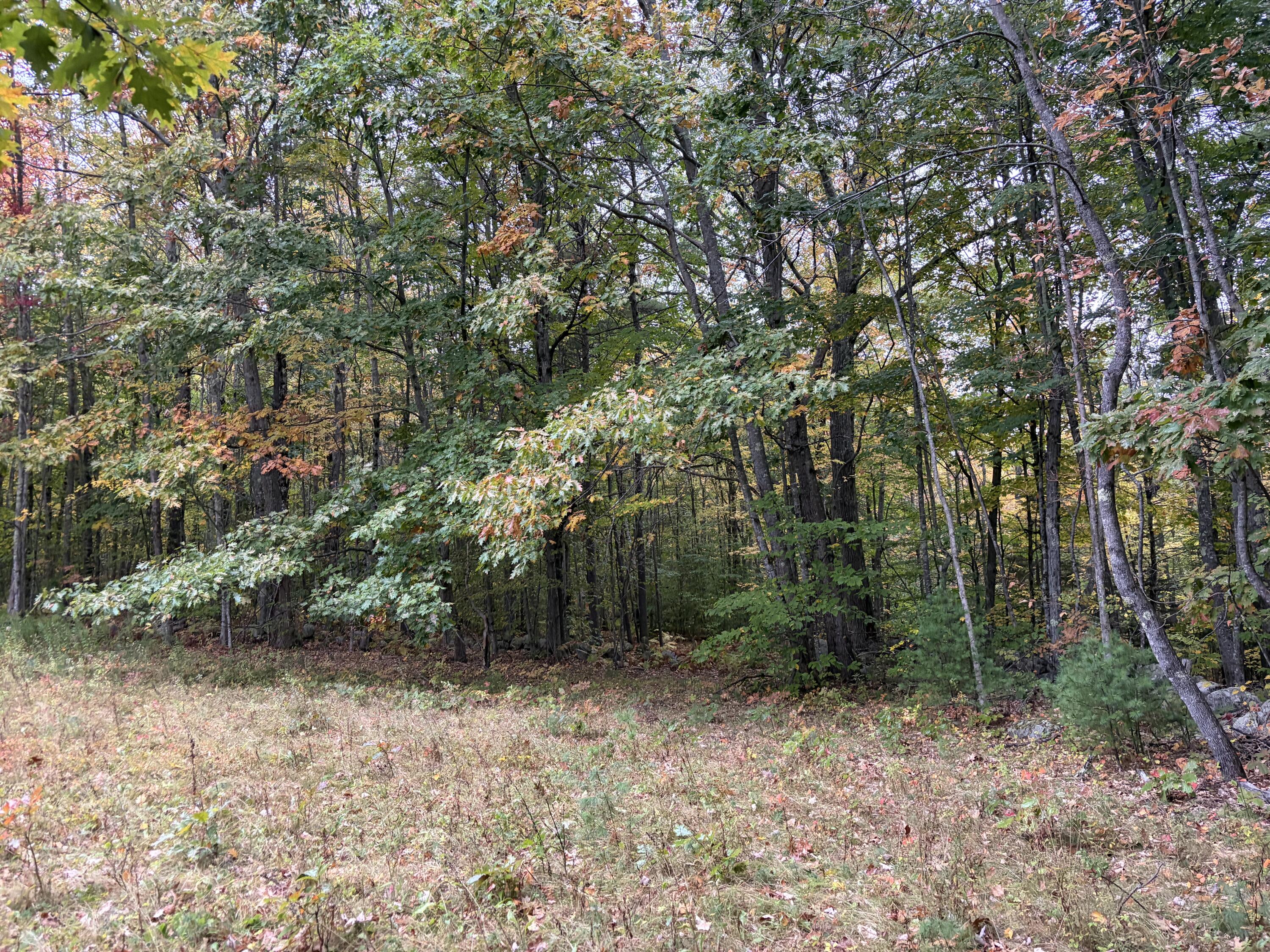 Lot 13-b2 S Town Farm Road Property Photo 6