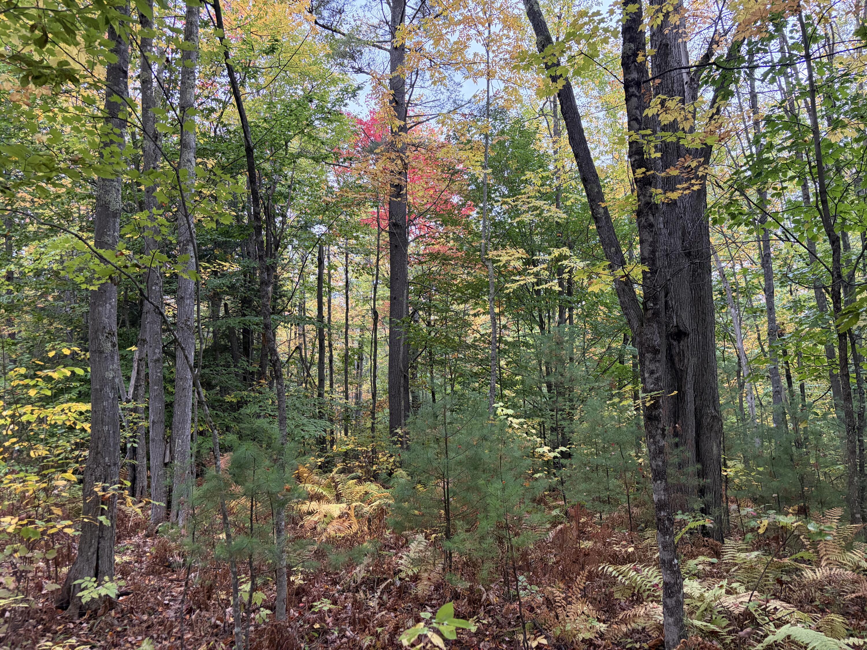 Lot 13-b2 S Town Farm Road Property Photo 7