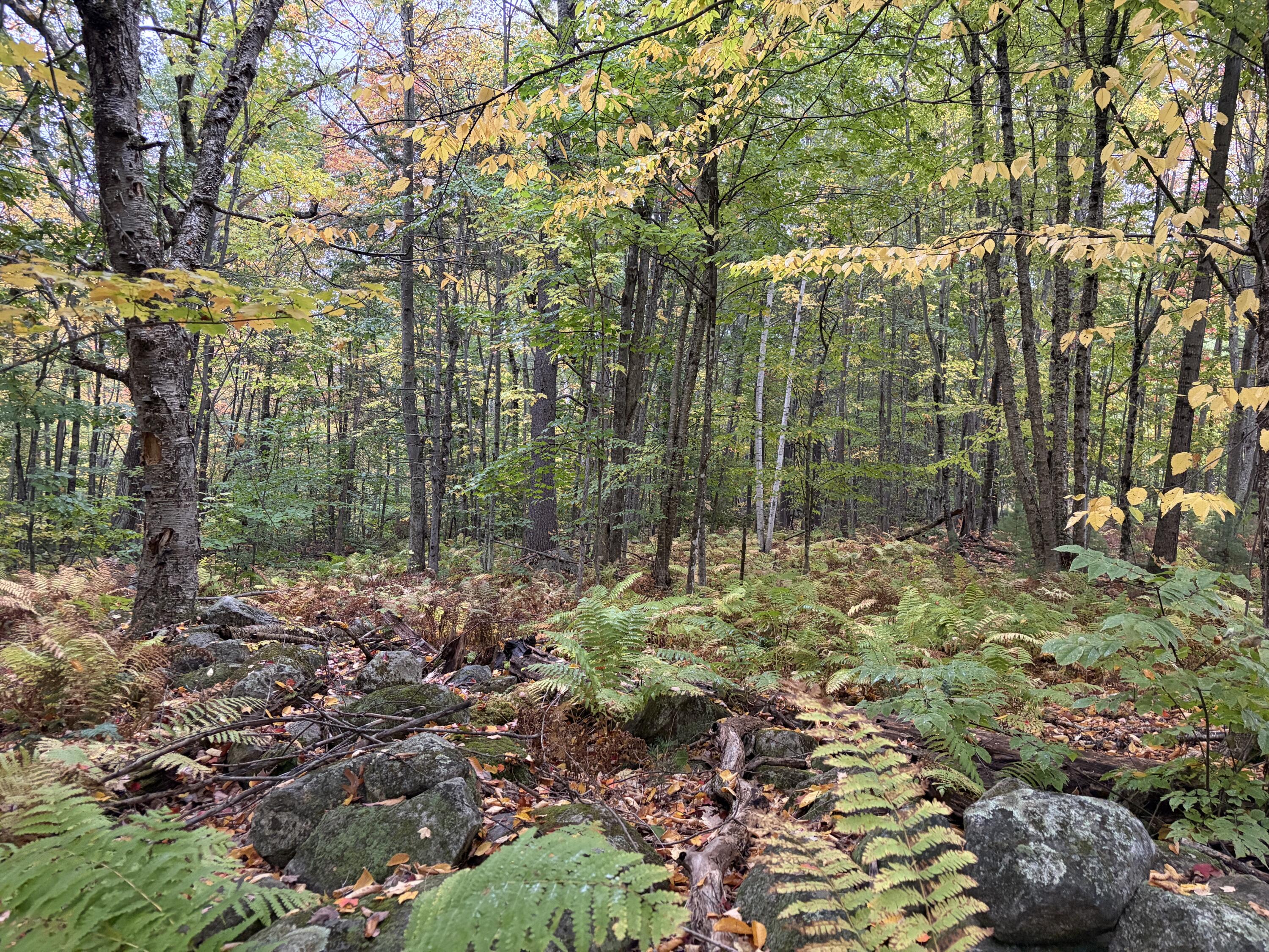 Lot 13-b2 S Town Farm Road Property Photo 8