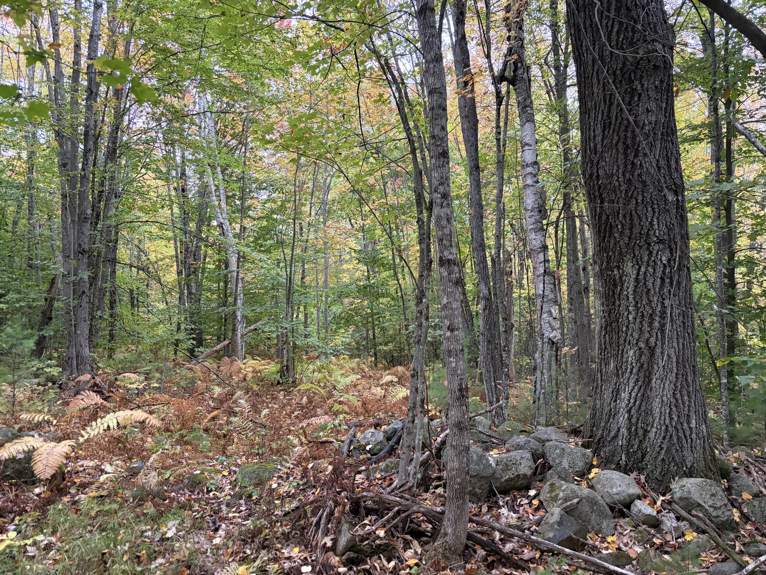 Lot 13-b2 S Town Farm Road Property Photo 9