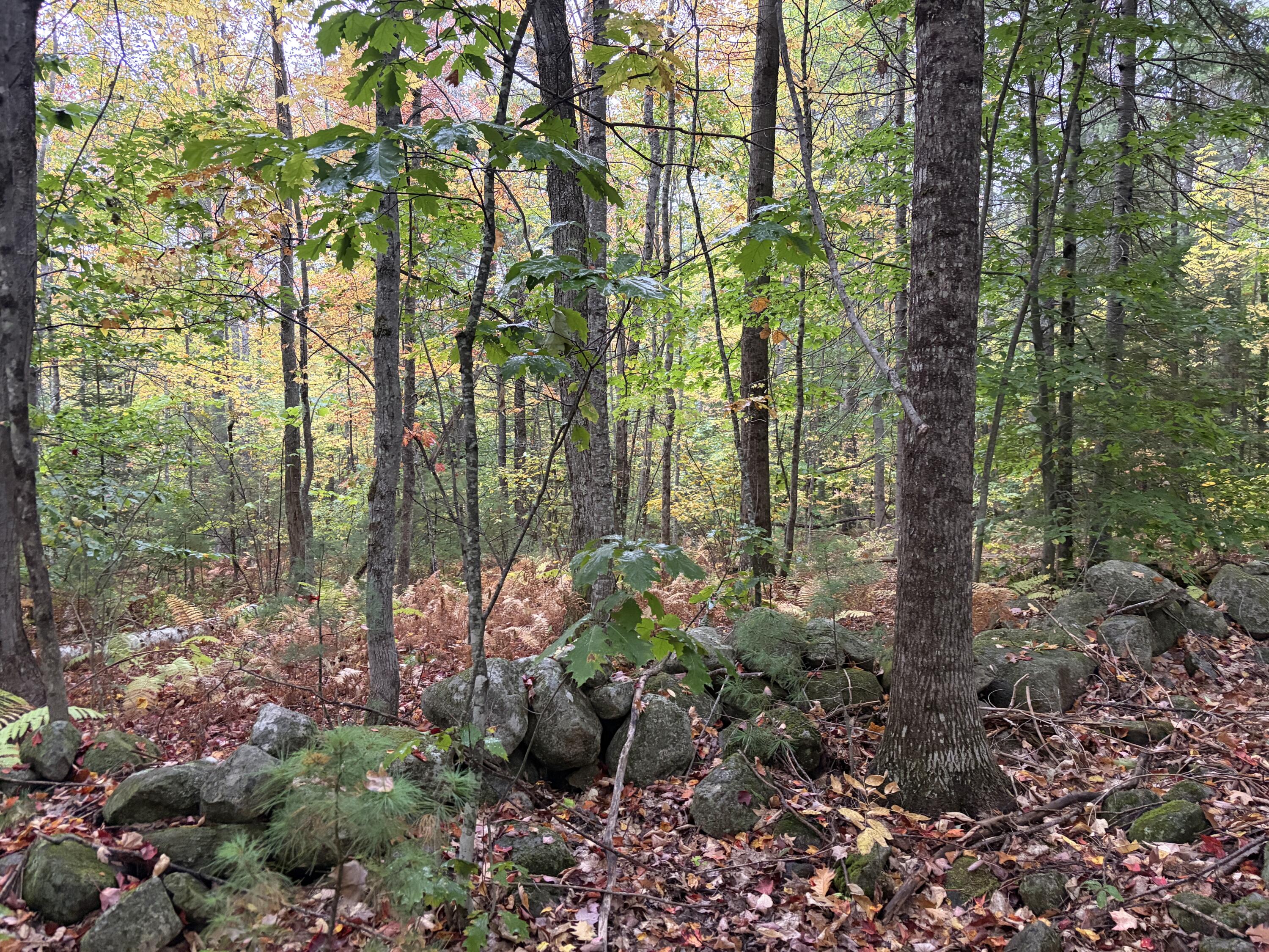 Lot 13-b2 S Town Farm Road Property Photo 10