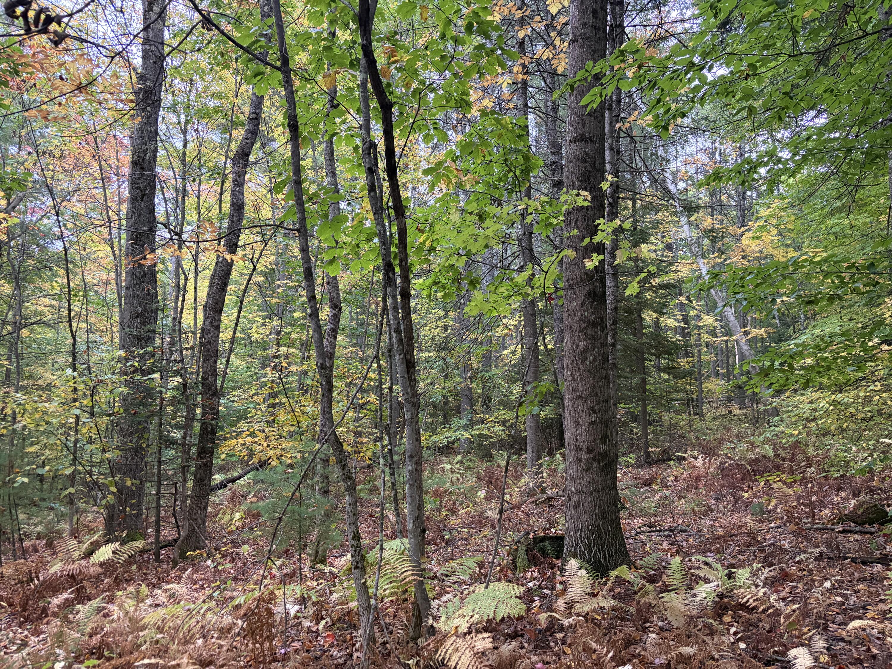 Lot 13-b2 S Town Farm Road Property Photo 11