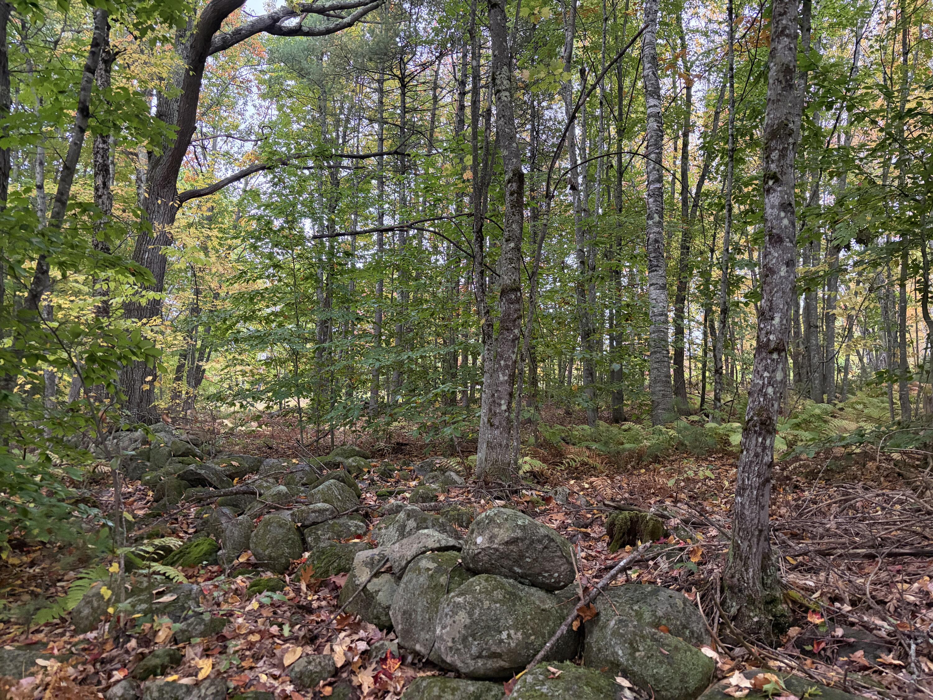 Lot 13-b2 S Town Farm Road Property Photo 12