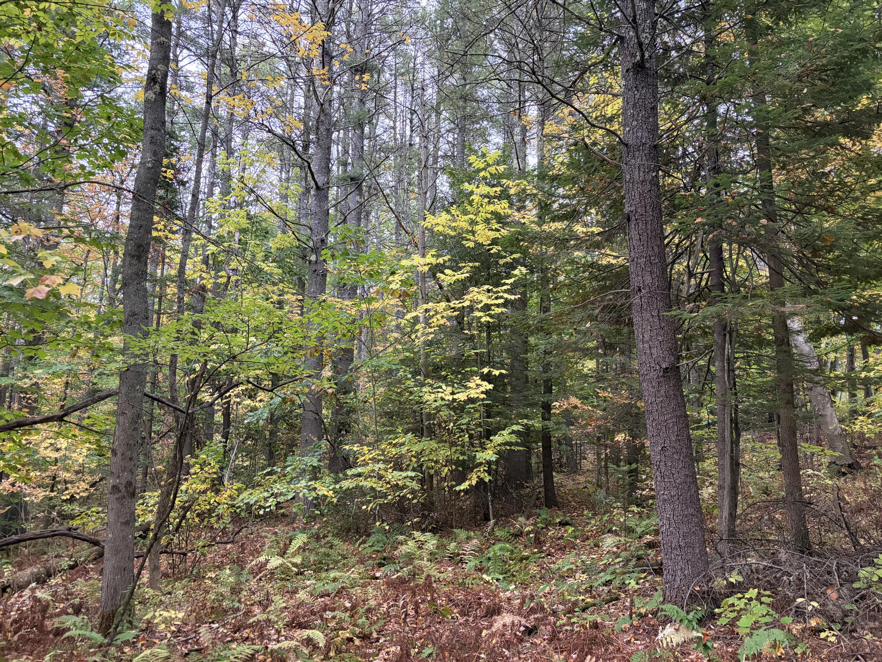 Lot 13-b2 S Town Farm Road Property Photo 13