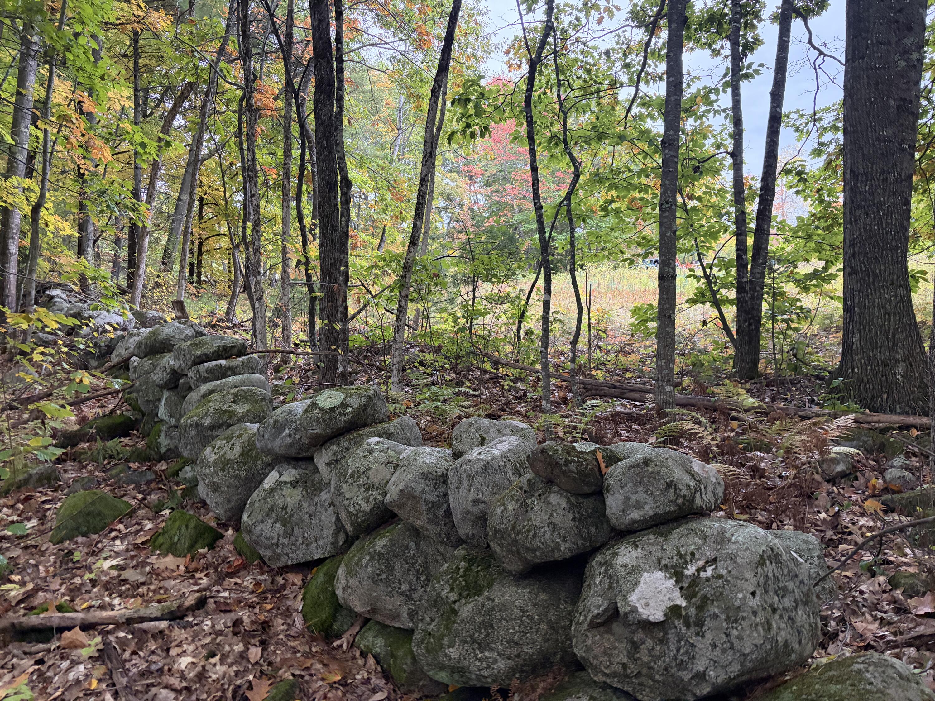 Lot 13-b2 S Town Farm Road Property Photo 14