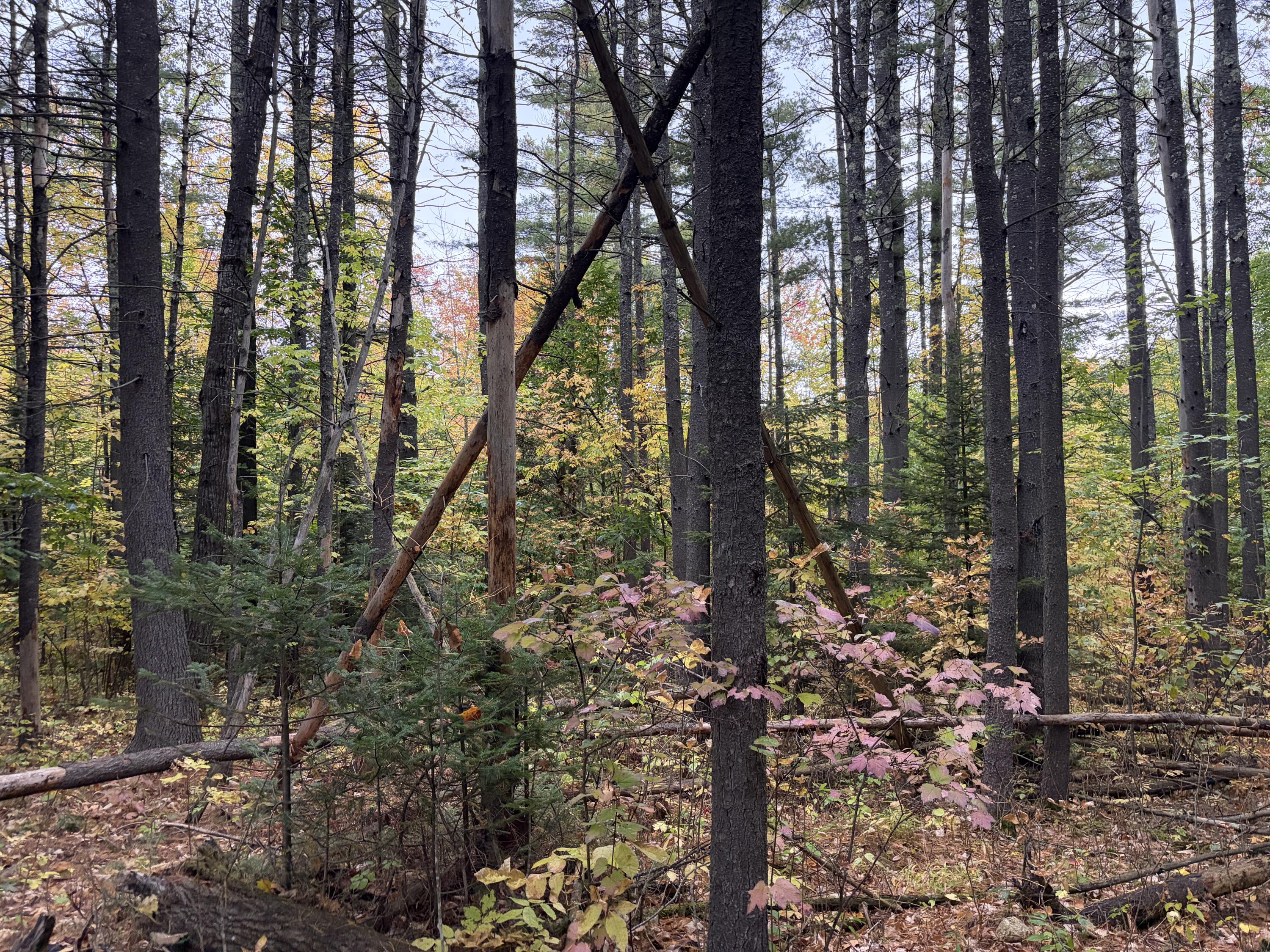 Lot 13-b2 S Town Farm Road Property Photo 15