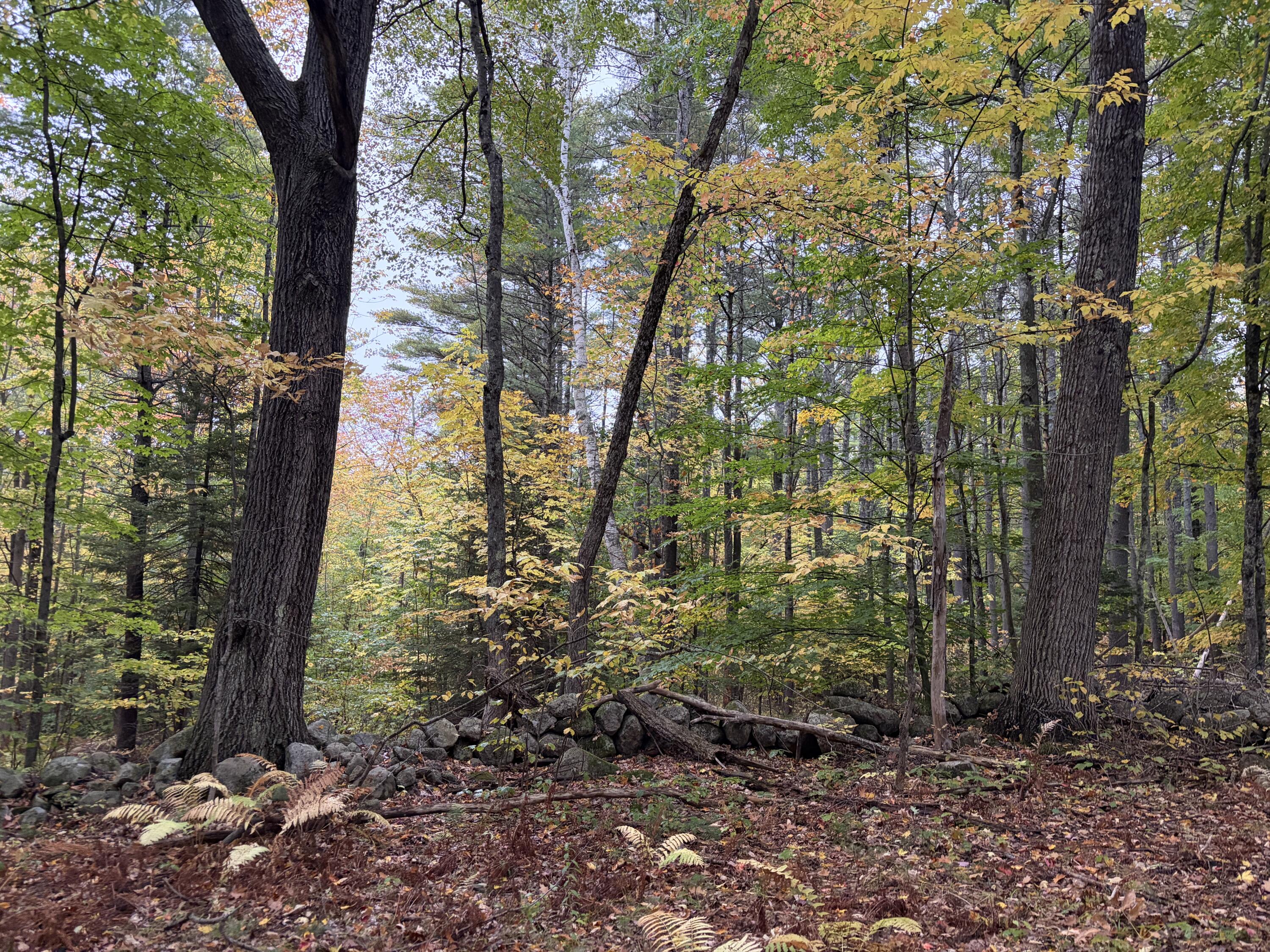 Lot 13-b2 S Town Farm Road Property Photo 16
