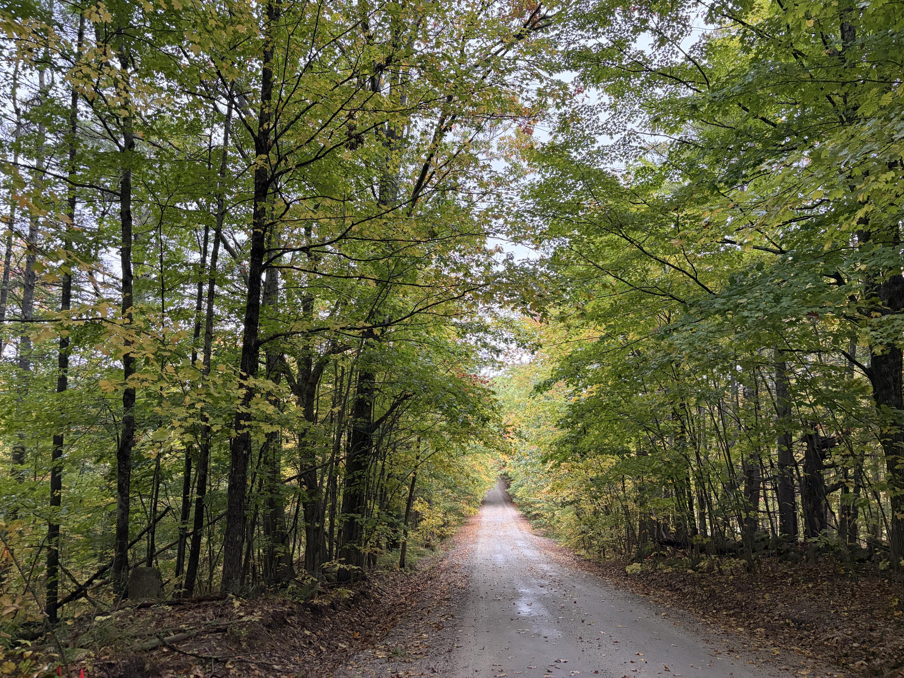 Lot 13-b2 S Town Farm Road Property Photo 17