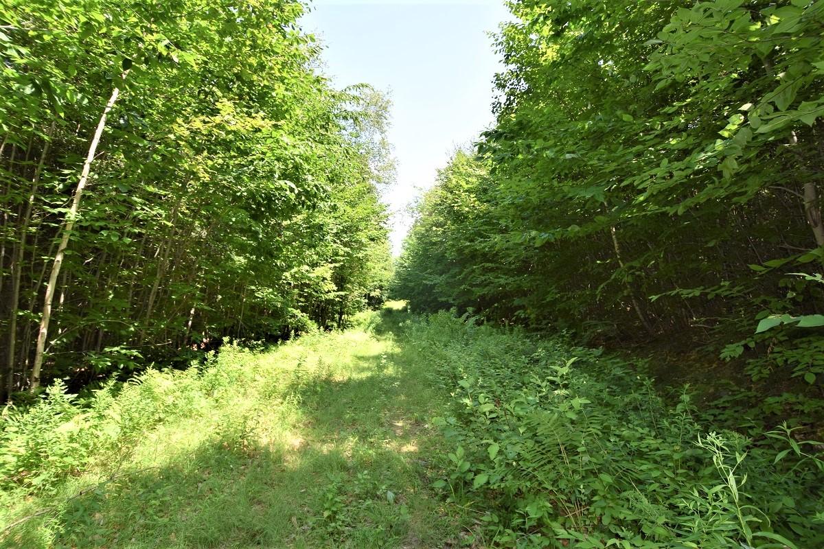 M4l6 Drinkuth Lane Property Photo 14