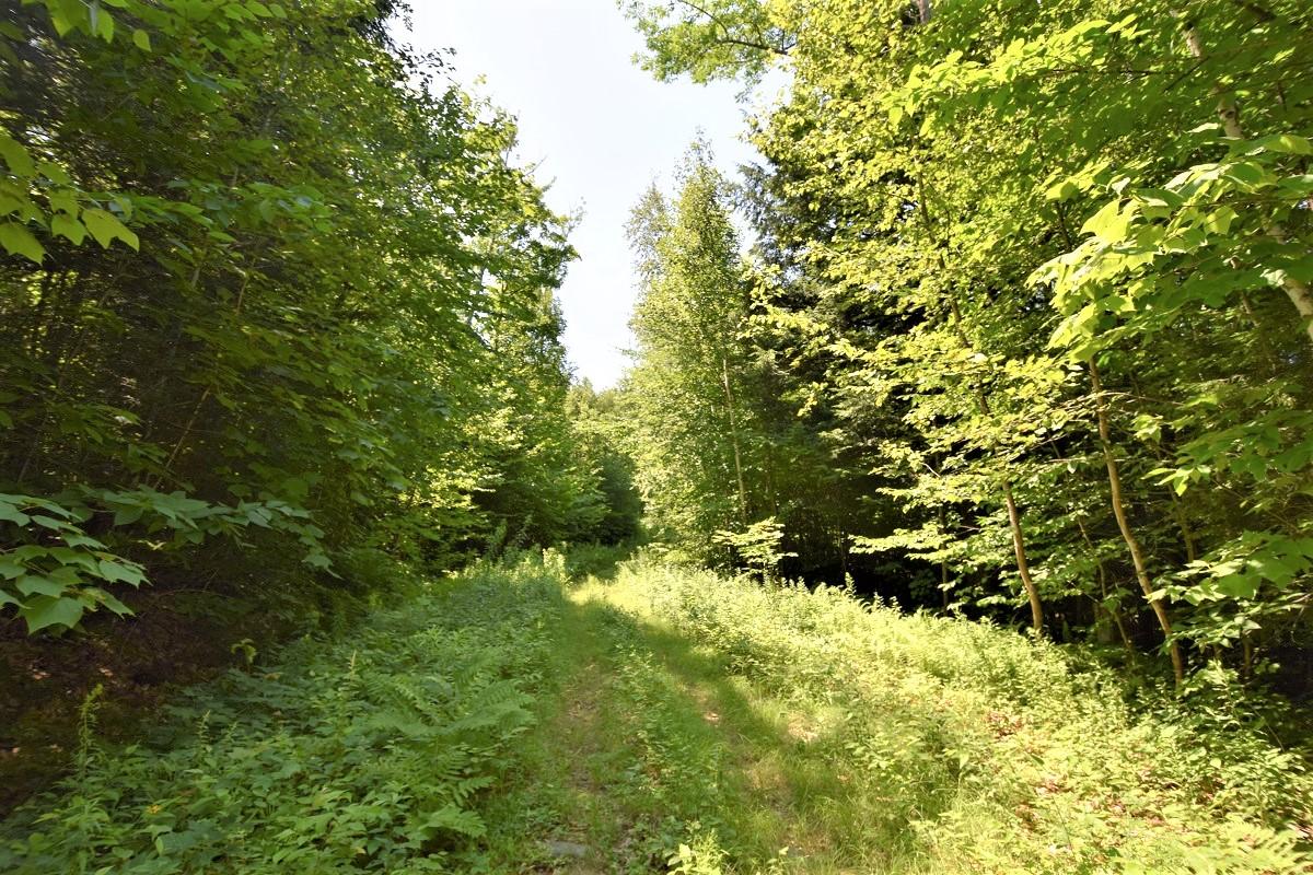 M4l6 Drinkuth Lane Property Photo 16