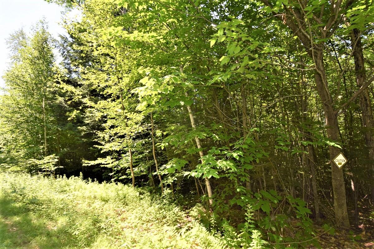 M4l6 Drinkuth Lane Property Photo 17