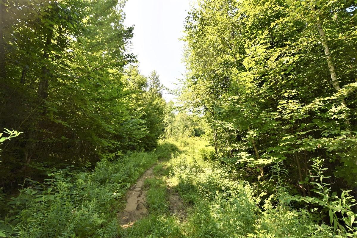 M4l6 Drinkuth Lane Property Photo 18