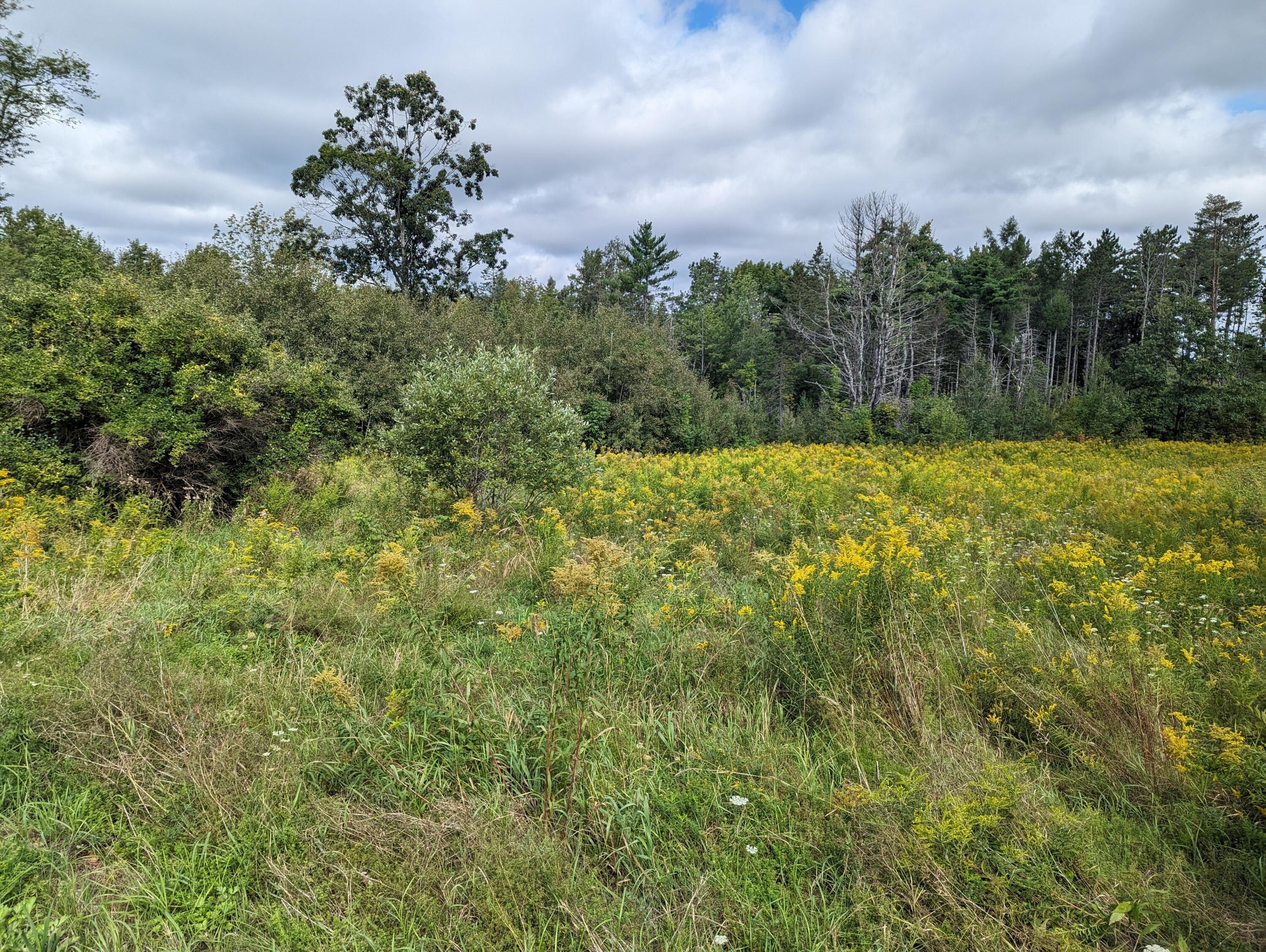 Tbd Western Avenue Property Photo 3