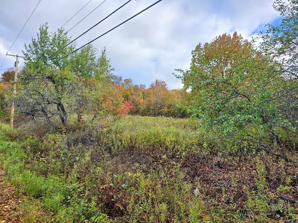 0 Church Street Property Photo 1