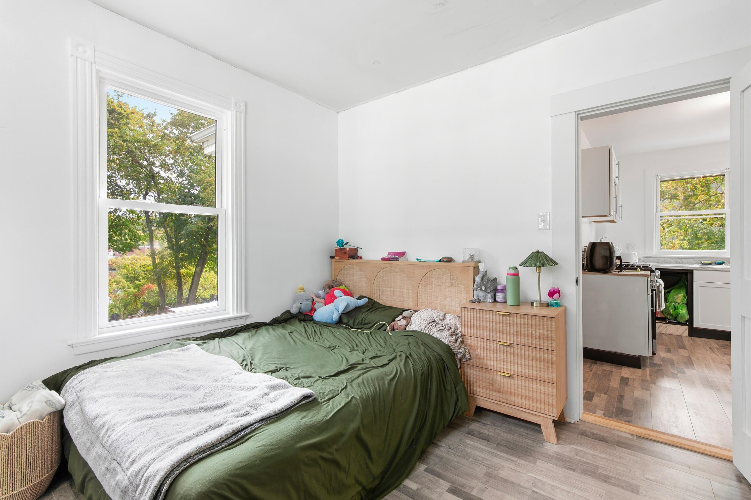 49 Dana Court Property Photo 14