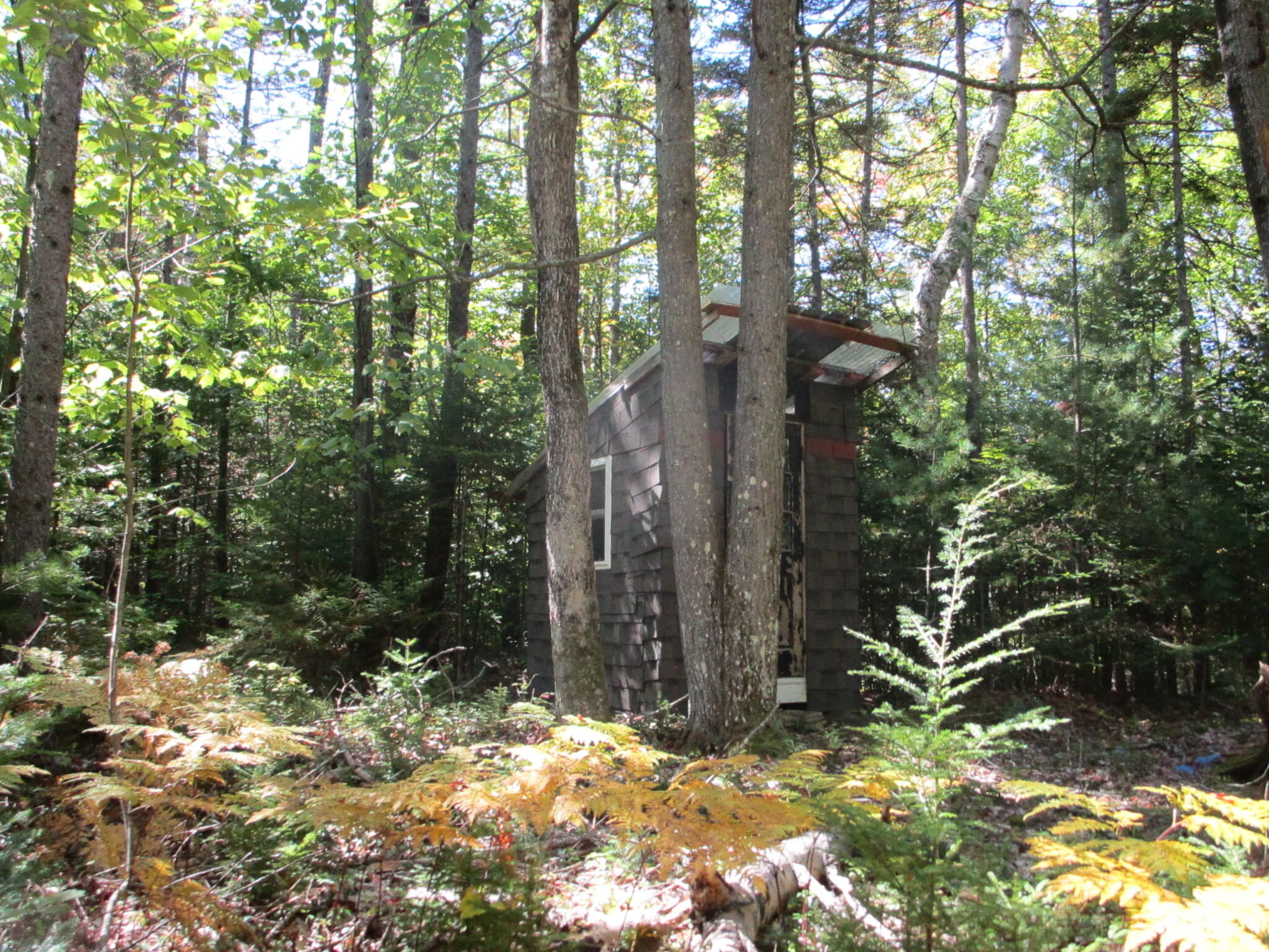 529 Redding Road Property Photo 11
