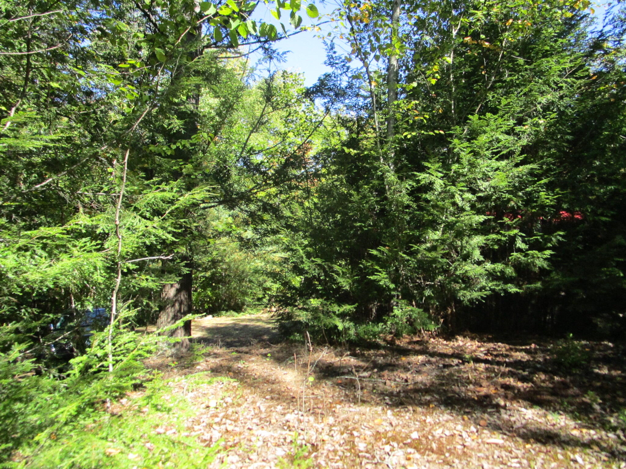 529 Redding Road Property Photo 17