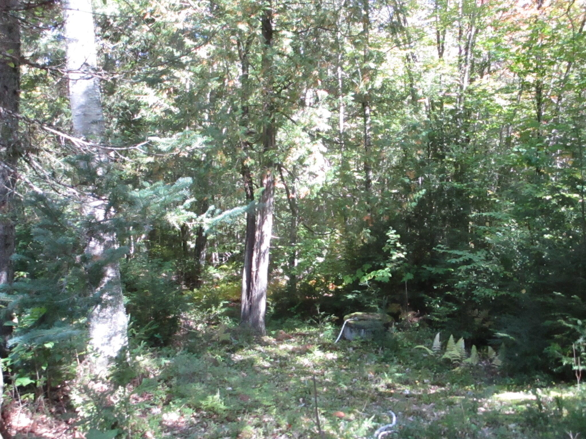 529 Redding Road Property Photo 20