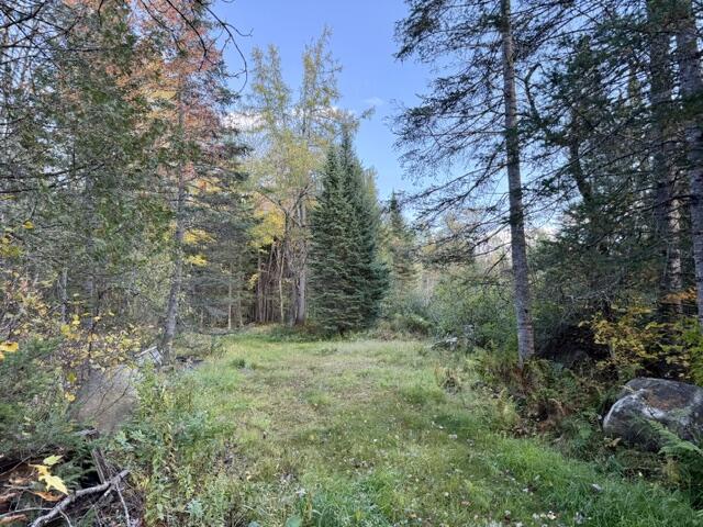 18 Munn Flat Road Property Photo 5