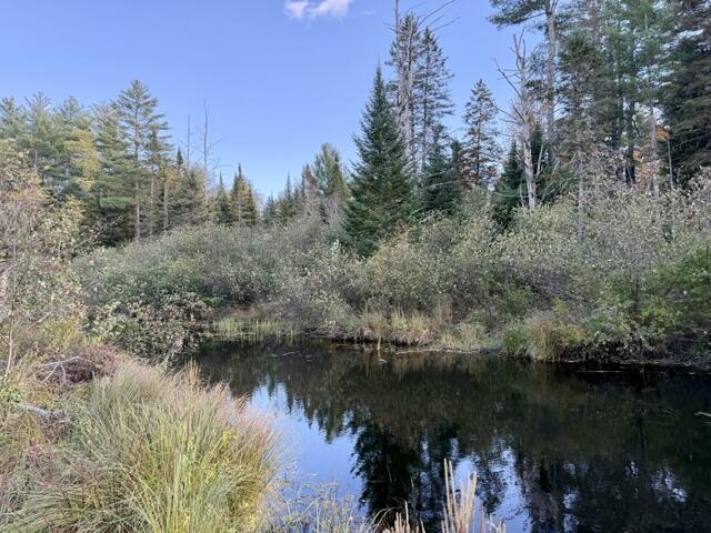 18 Munn Flat Road Property Photo 6