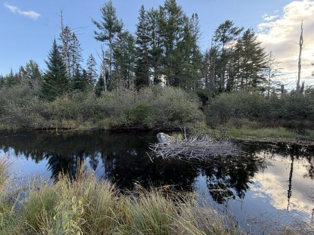 18 Munn Flat Road Property Photo 8