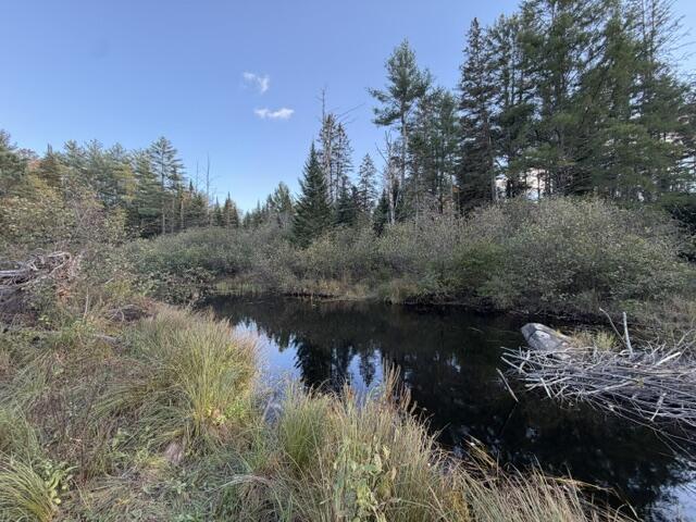 18 Munn Flat Road Property Photo 9