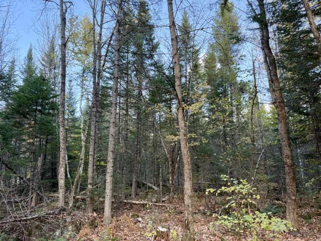 18 Munn Flat Road Property Photo 11