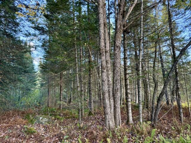 18 Munn Flat Road Property Photo 12