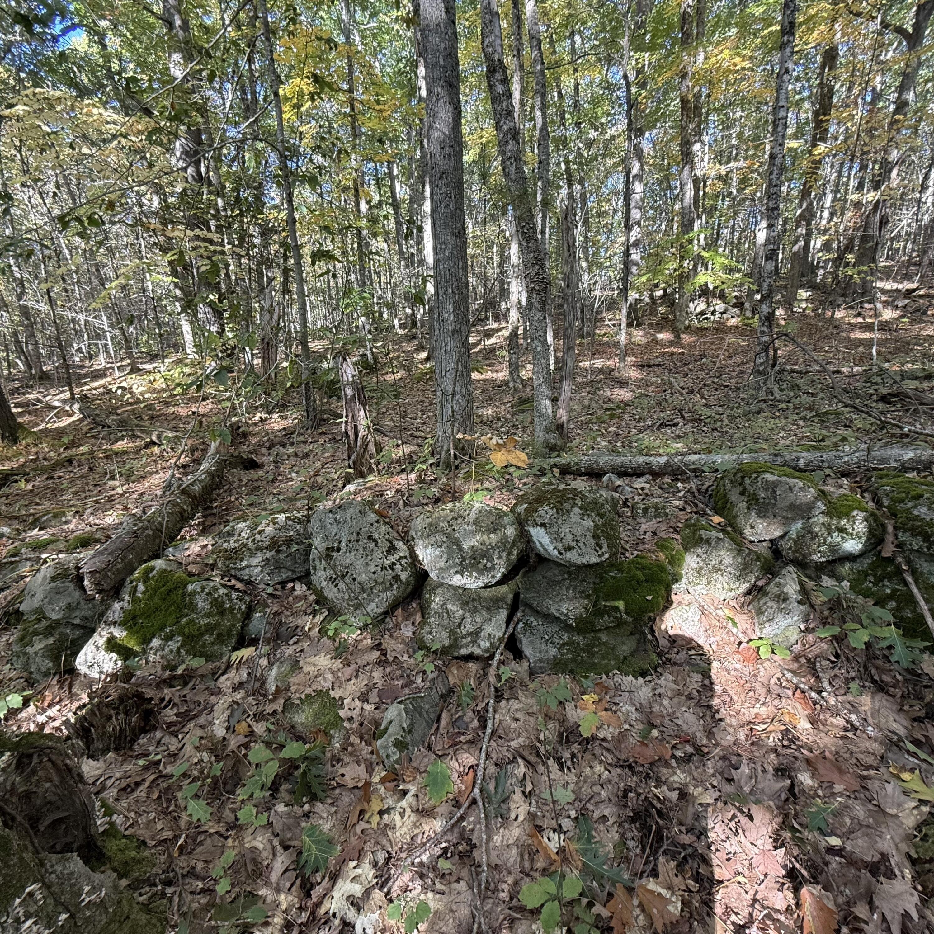 266 Mountain Road Property Photo 1