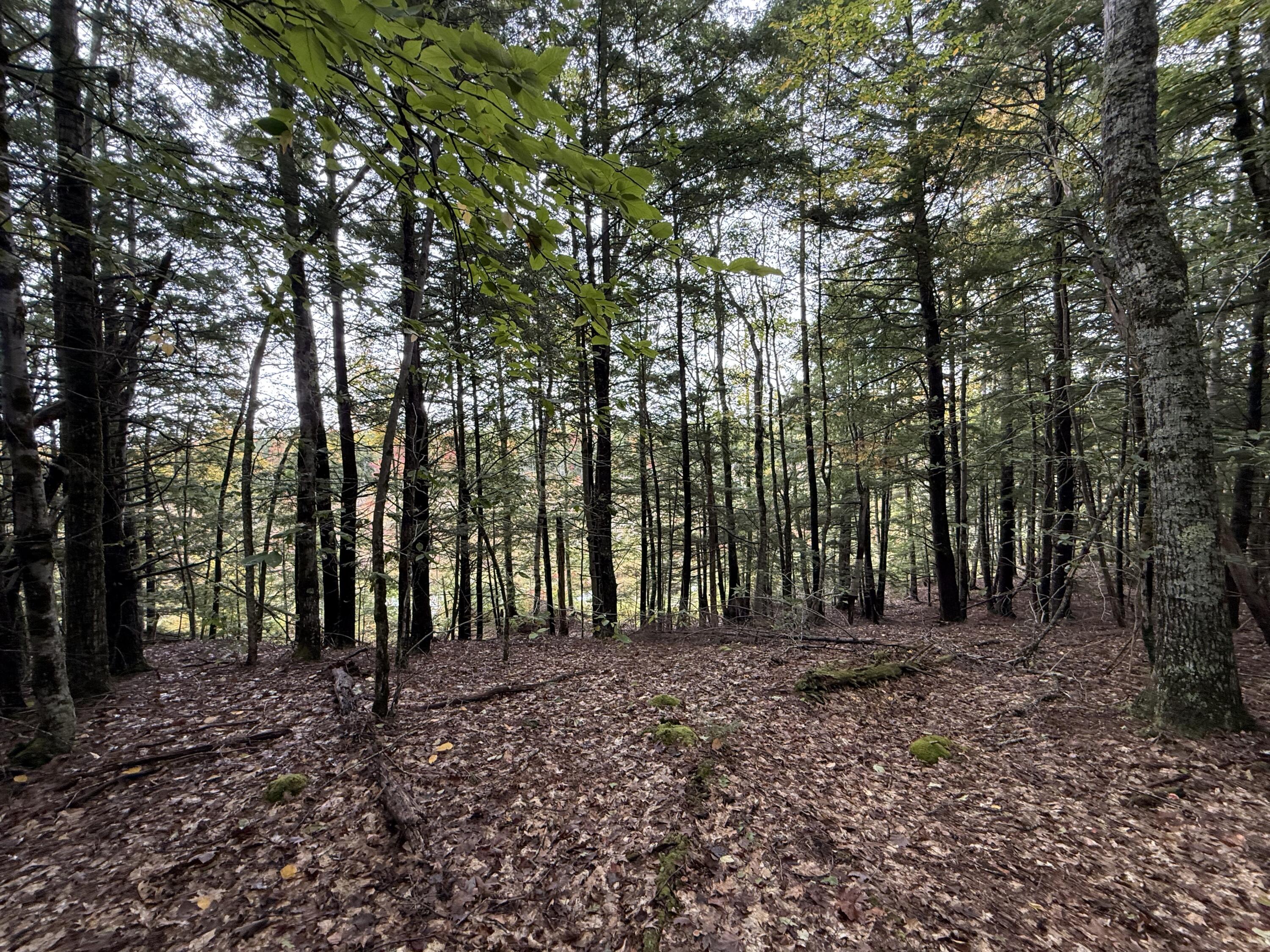 R10 Lot 12 Bauneg Beg Road Property Photo 14