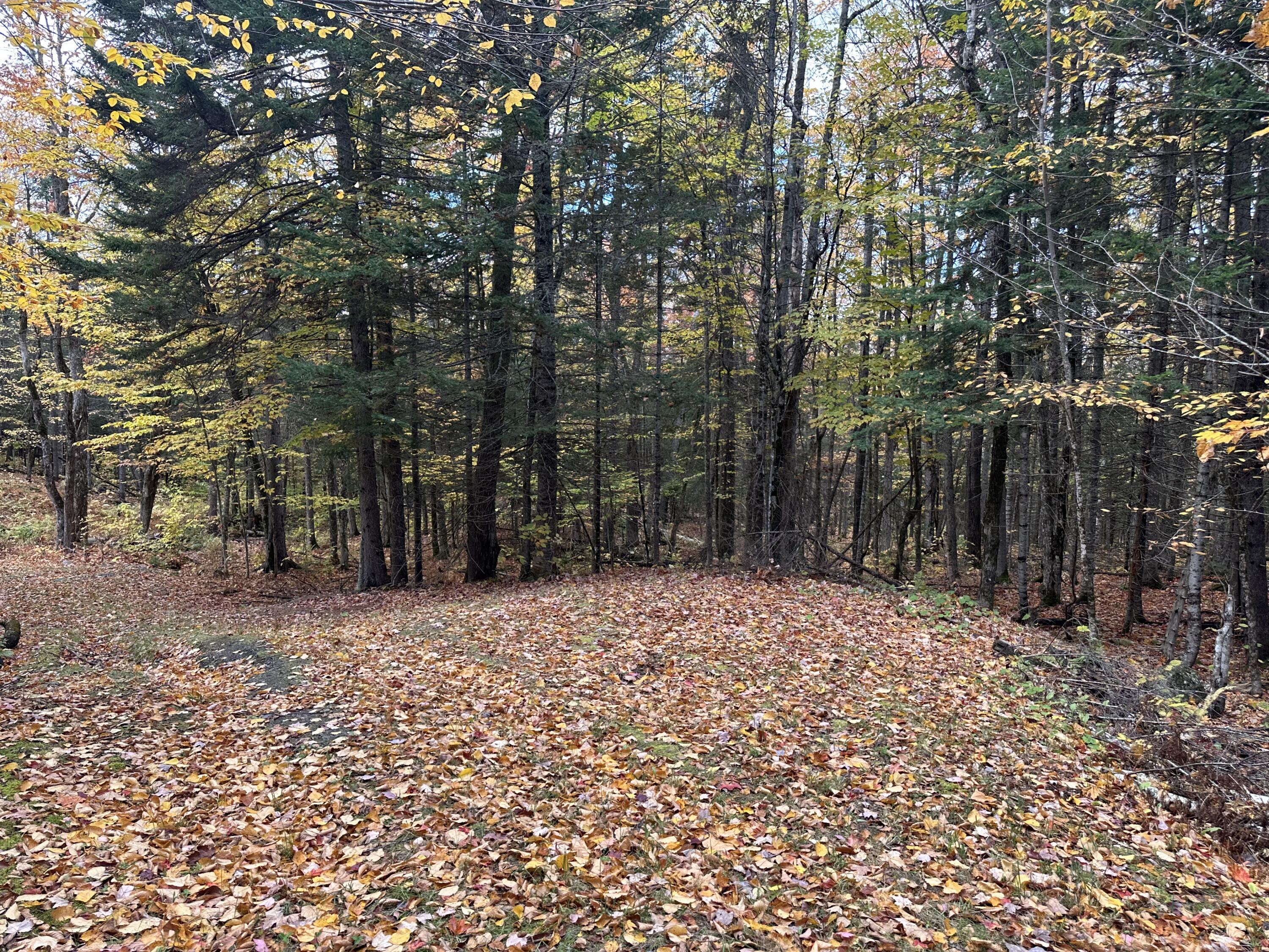 Lot 6a Ridge Road Property Photo 2