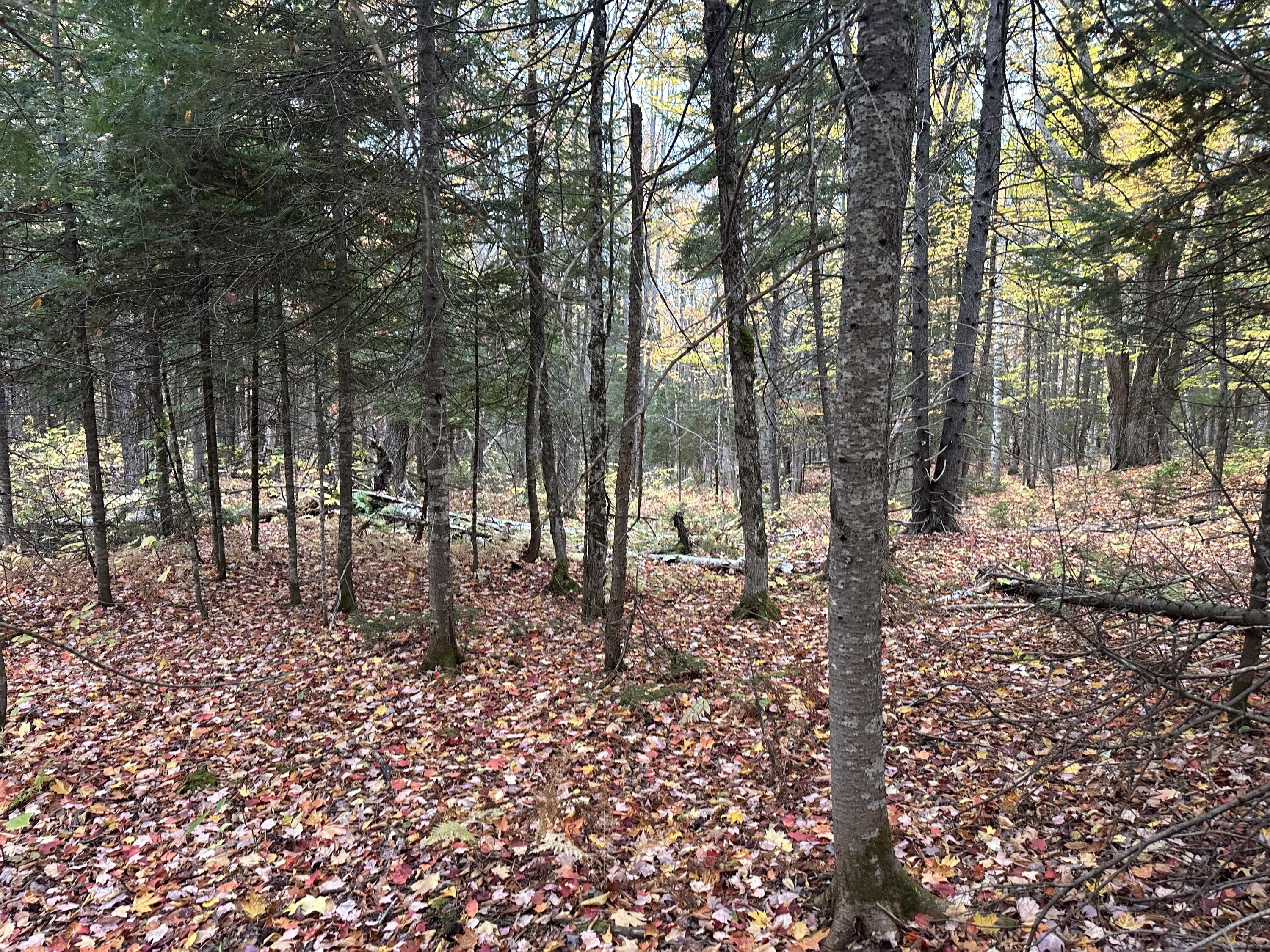 Lot 6a Ridge Road Property Photo 4