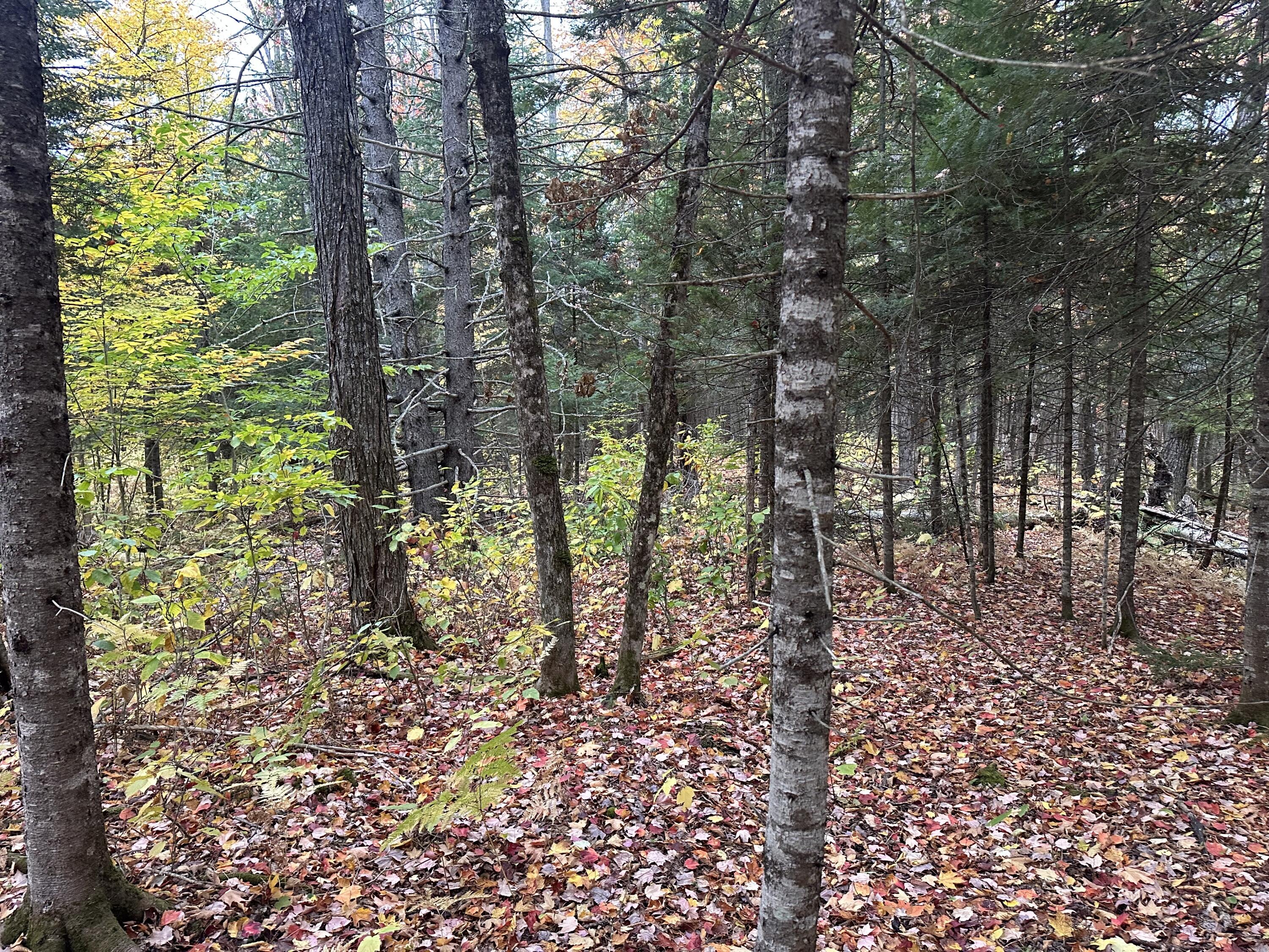 Lot 6a Ridge Road Property Photo 5